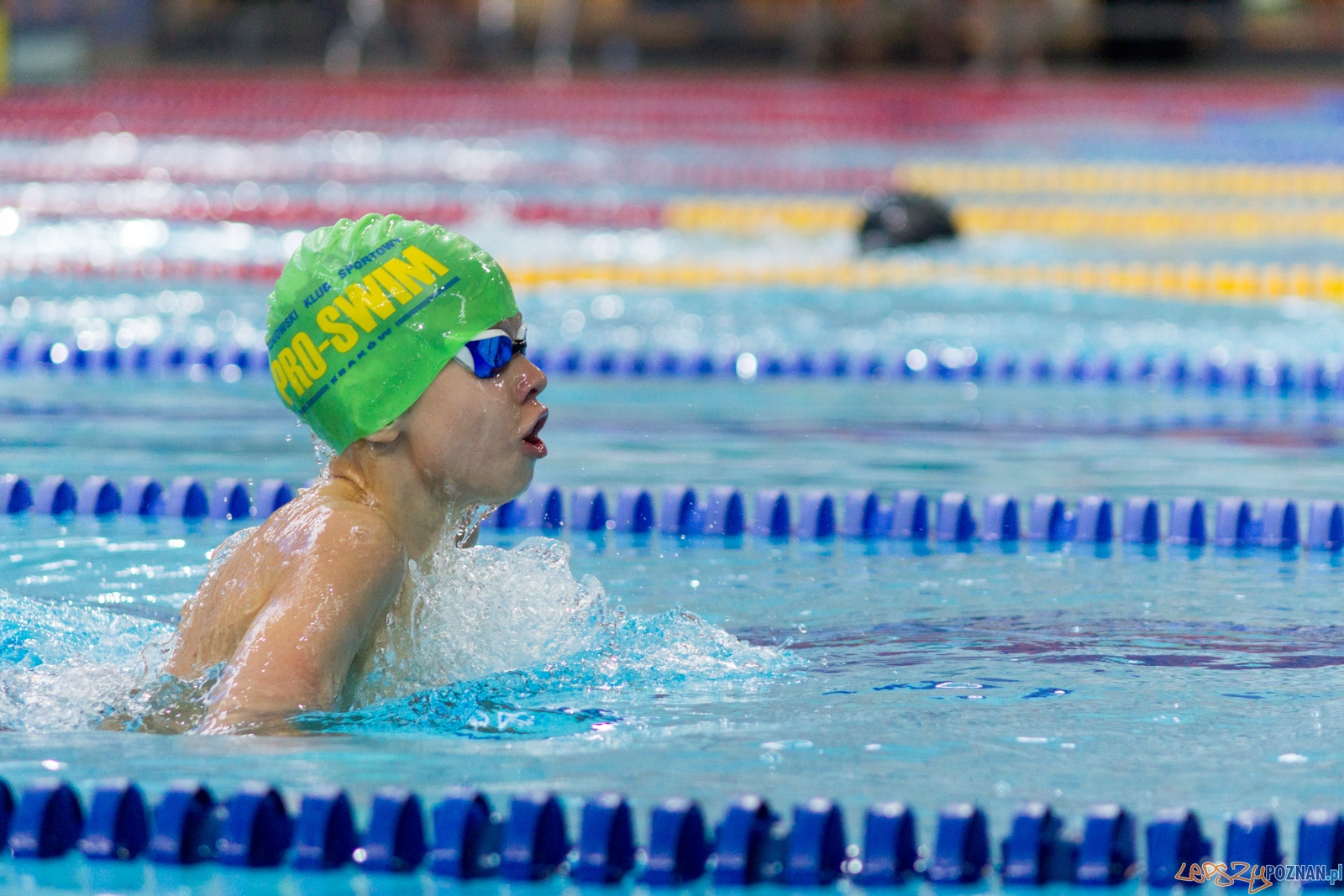 International Swimming Cup POZnań 2017 Foto: lepszyPOZNAN.pl / Ewelina Jaśkowiak International Swimming Cup POZnań 2017 Foto: lepszyPOZNAN.pl / Ewelina Jaśkowiak