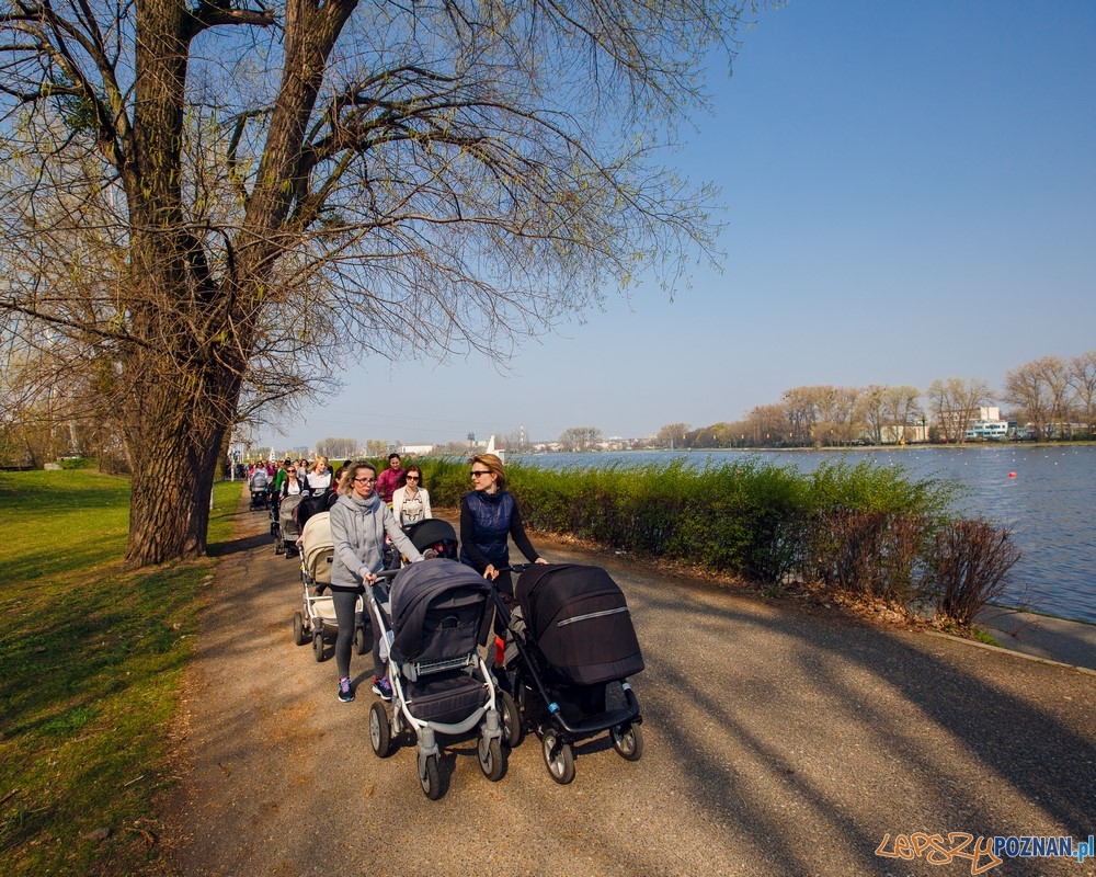 Sportowe zajęcia dla mam nad Maltą Foto: Wojciech Andrzejczak / QA Consulting Sportowe zajęcia dla mam nad Maltą Foto: Wojciech Andrzejczak / QA Consulting