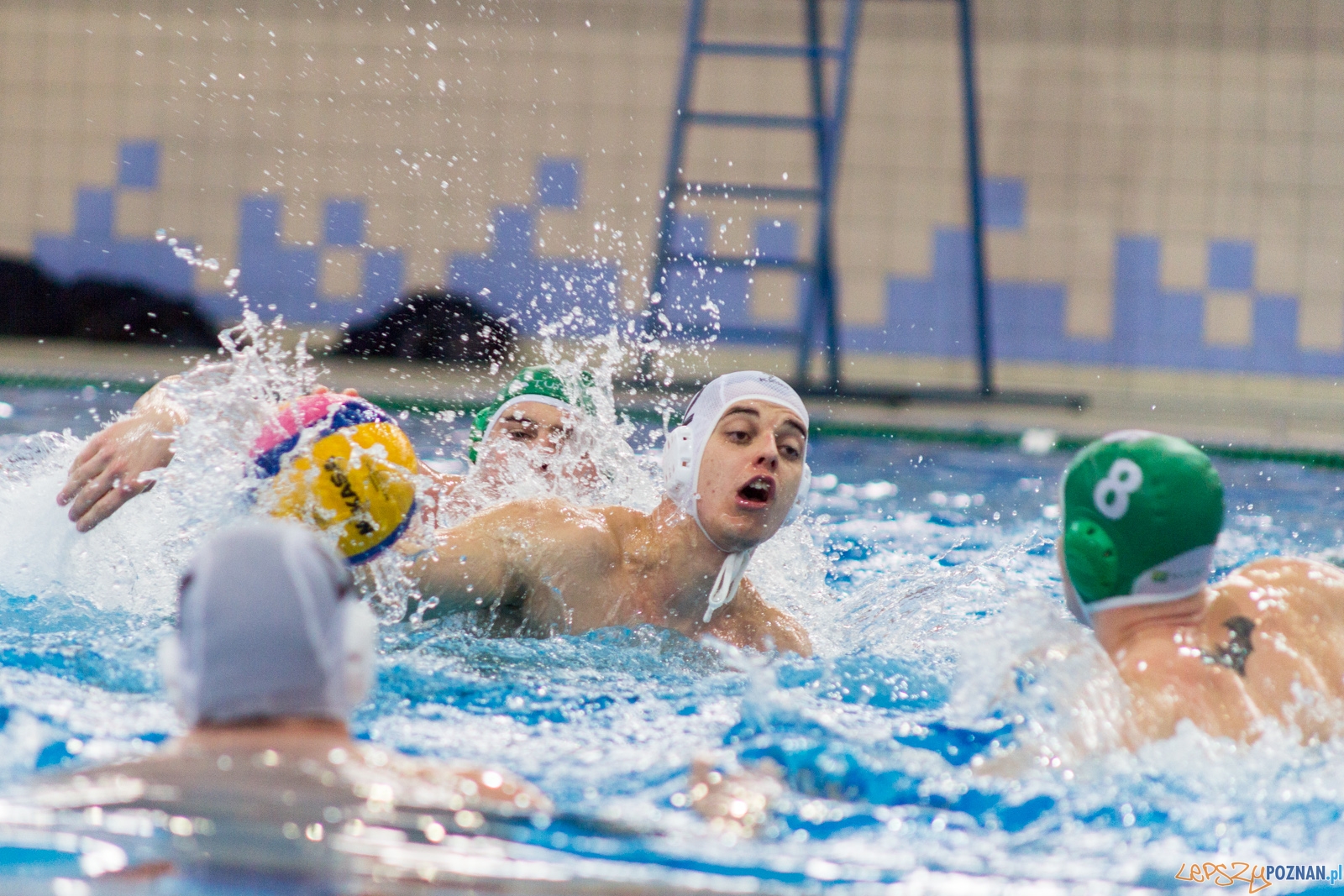 KS Waterpolo Poznań - Legia Warszawa Foto: lepszyPOZNAN.pl / Ewelina Jaśkowiak KS Waterpolo Poznań - Legia Warszawa Foto: lepszyPOZNAN.pl / Ewelina Jaśkowiak