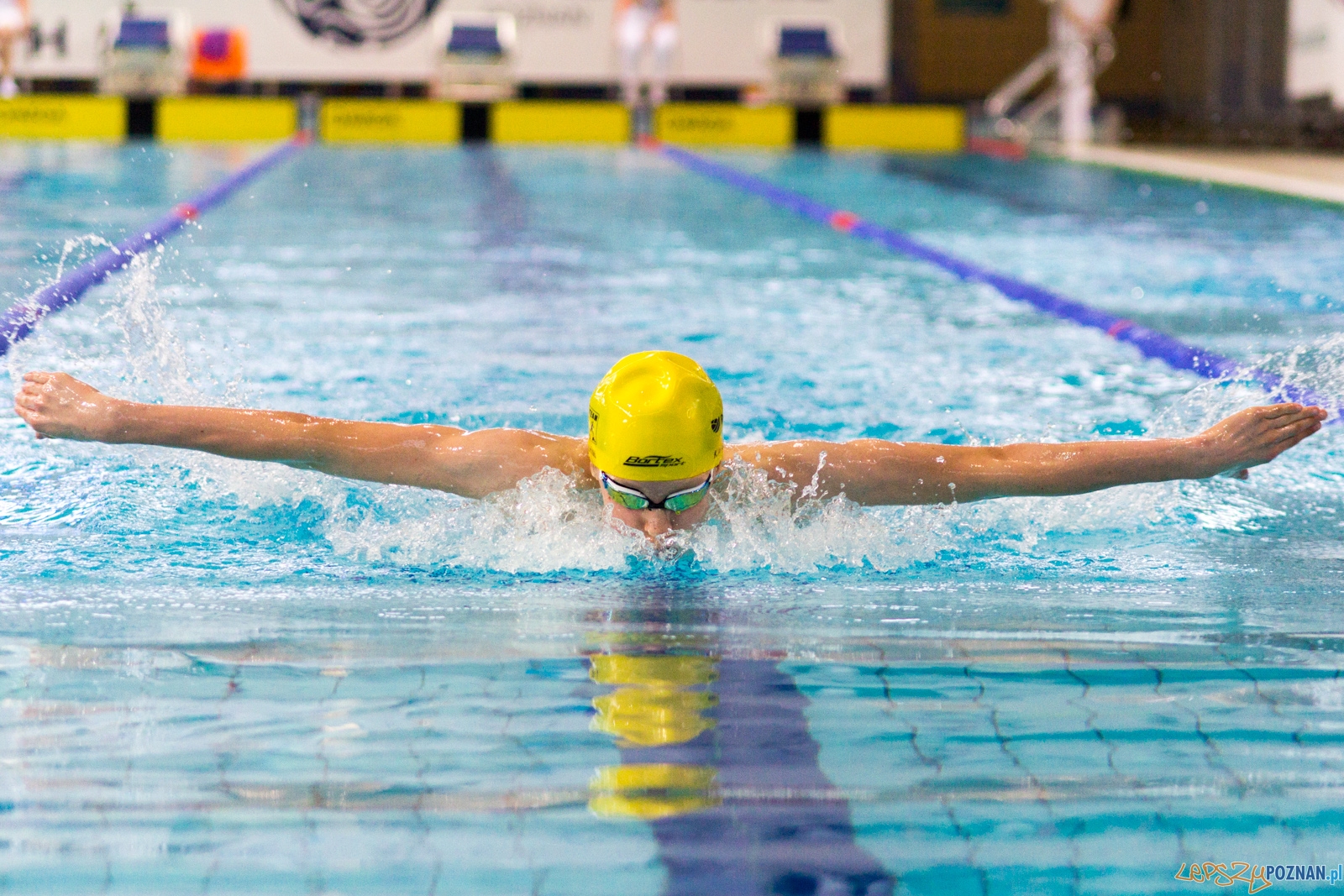 International Swimming Cup POZnań 2017 Foto: Ewelina Jaśkowiak International Swimming Cup POZnań 2017 Foto: Ewelina Jaśkowiak