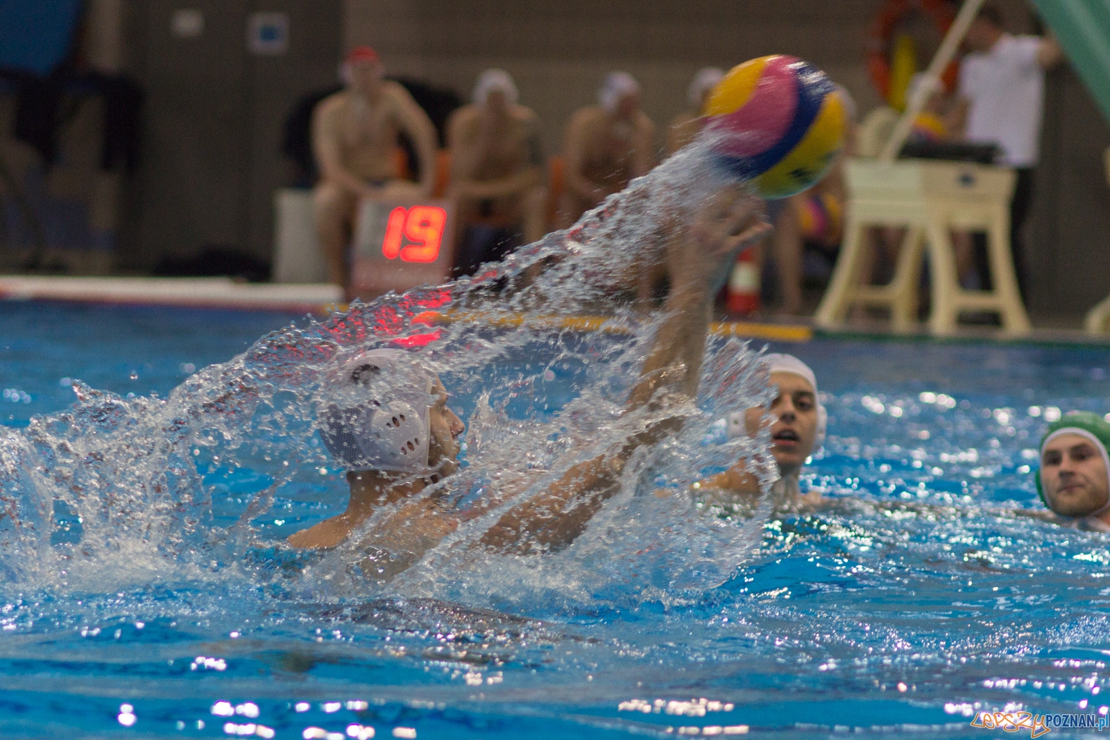 KS Waterpolo Poznań - Legia Warszawa Foto: lepszyPOZNAN.pl / Ewelina Jaśkowiak KS Waterpolo Poznań - Legia Warszawa Foto: lepszyPOZNAN.pl / Ewelina Jaśkowiak