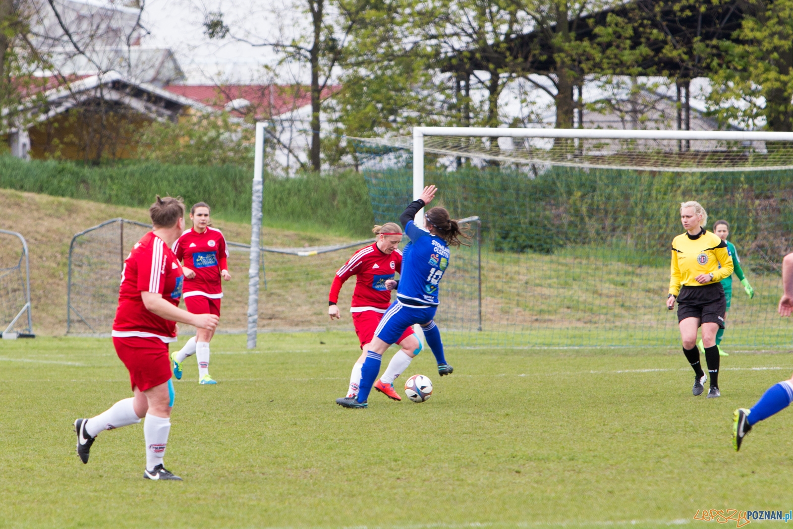 Polonia Poznań - Stomilanki Olsztyn Foto: lepszyPOZNAN.pl / Piotr Rychter Polonia Poznań - Stomilanki Olsztyn Foto: lepszyPOZNAN.pl / Piotr Rychter