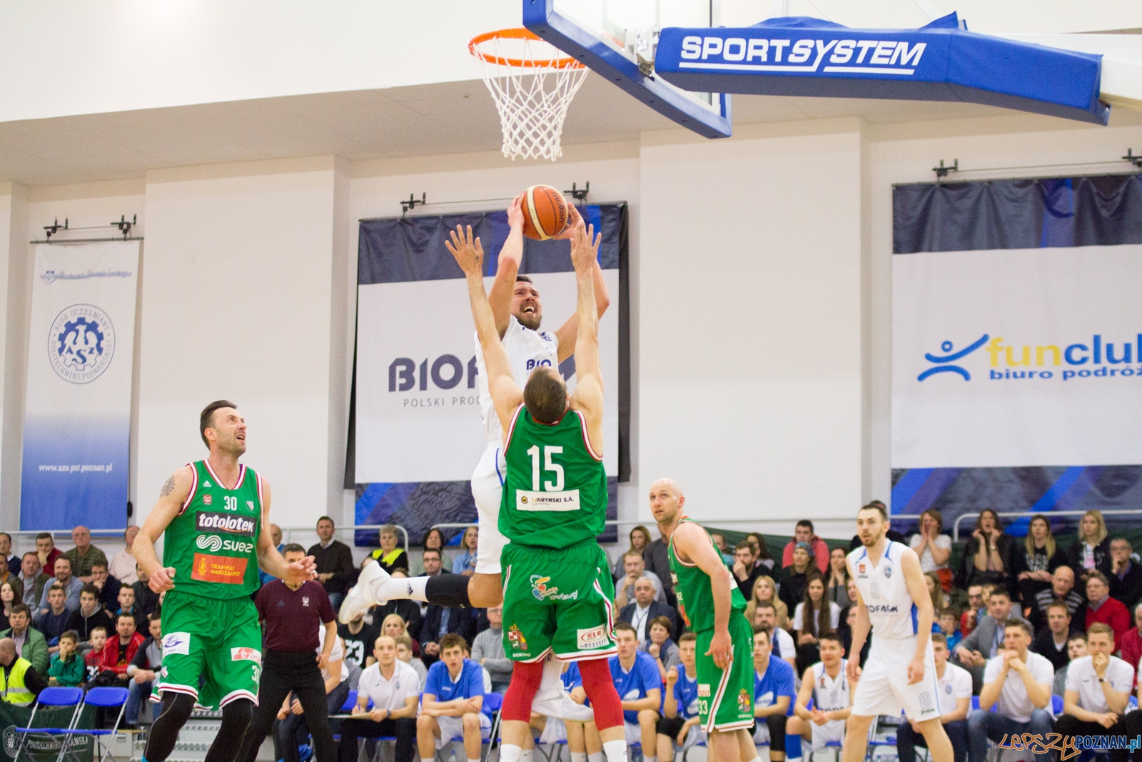 Bofarm Basket Poznań - Legia Warszawa Foto: lepszyPOZNAN.pl / Ewelina Jaśkowiak Bofarm Basket Poznań - Legia Warszawa Foto: lepszyPOZNAN.pl / Ewelina Jaśkowiak