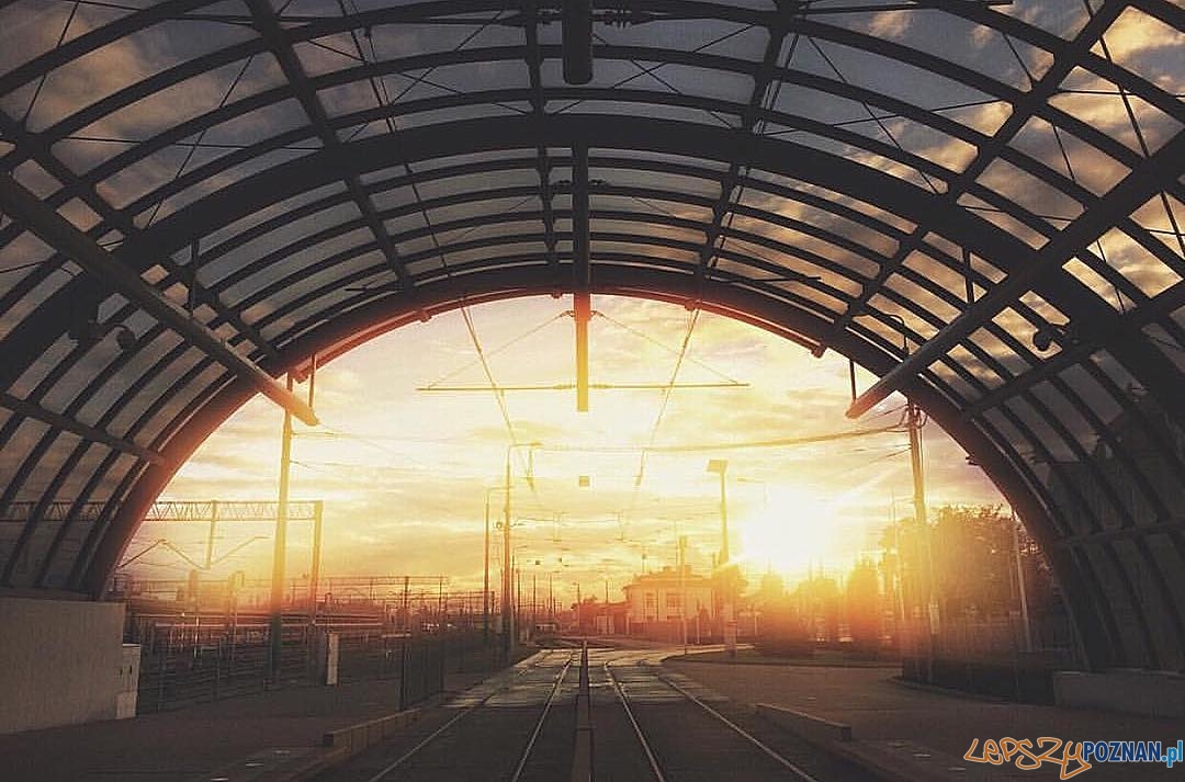 Photo of the Year - miejsce III Foto: https://www.instagram.com/seetoos/ Photo of the Year - miejsce III Foto: https://www.instagram.com/seetoos/