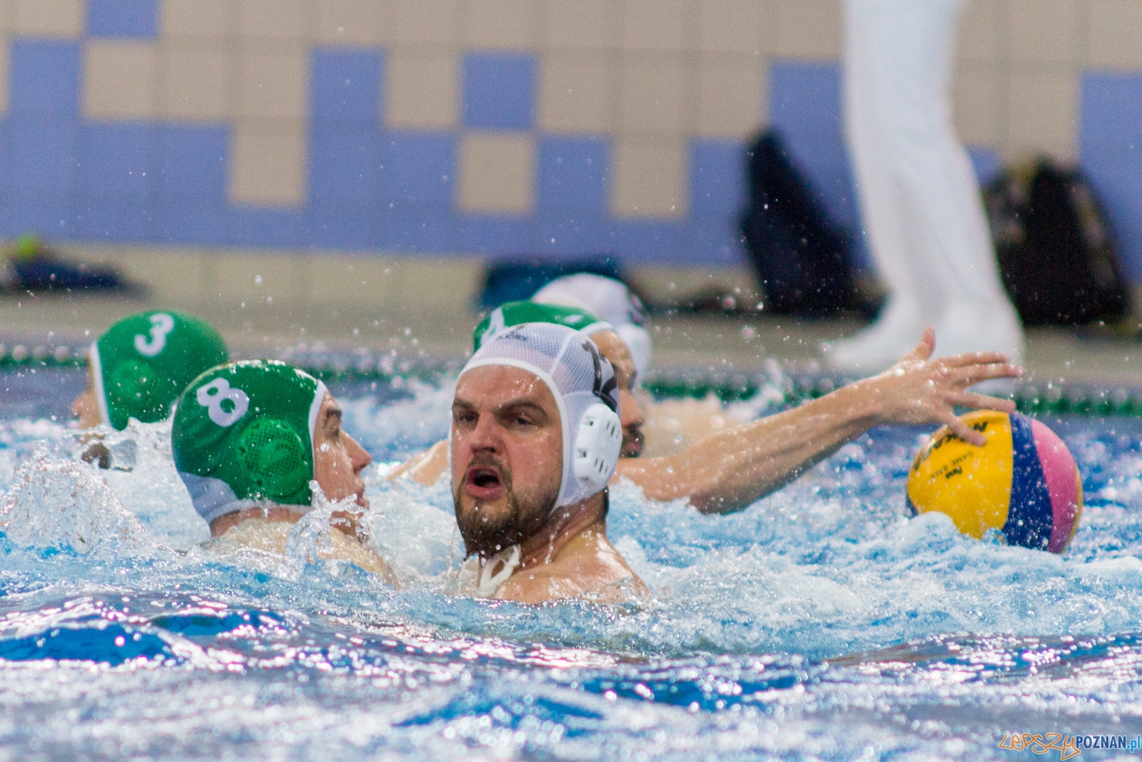 KS Waterpolo Poznań - Legia Warszawa Foto: lepszyPOZNAN.pl / Ewelina Jaśkowiak KS Waterpolo Poznań - Legia Warszawa Foto: lepszyPOZNAN.pl / Ewelina Jaśkowiak
