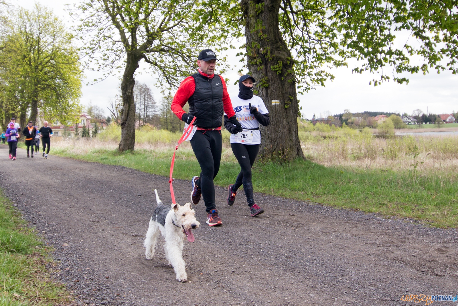 IV Uniwersytecka ZaDyszka im. Jerzego Żeligowskiego Foto: lepszyPOZNAN.pl / Piotr Rychter IV Uniwersytecka ZaDyszka im. Jerzego Żeligowskiego Foto: lepszyPOZNAN.pl / Piotr Rychter