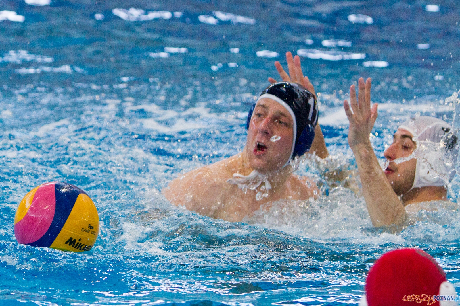 Waterpolo Poznań - ŁSTW UŁ Foto: lepszyPOZNAN.pl / Piotr Rychter Waterpolo Poznań - ŁSTW UŁ Foto: lepszyPOZNAN.pl / Piotr Rychter