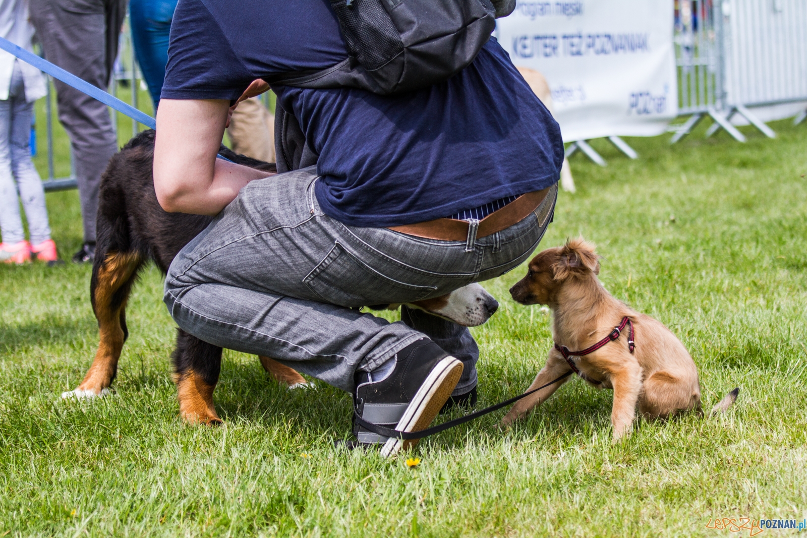 Latające psy (13.05.2017) Foto: © lepszyPOZNAN.pl / Karolina Kiraga Latające psy (13.05.2017) Foto: © lepszyPOZNAN.pl / Karolina Kiraga