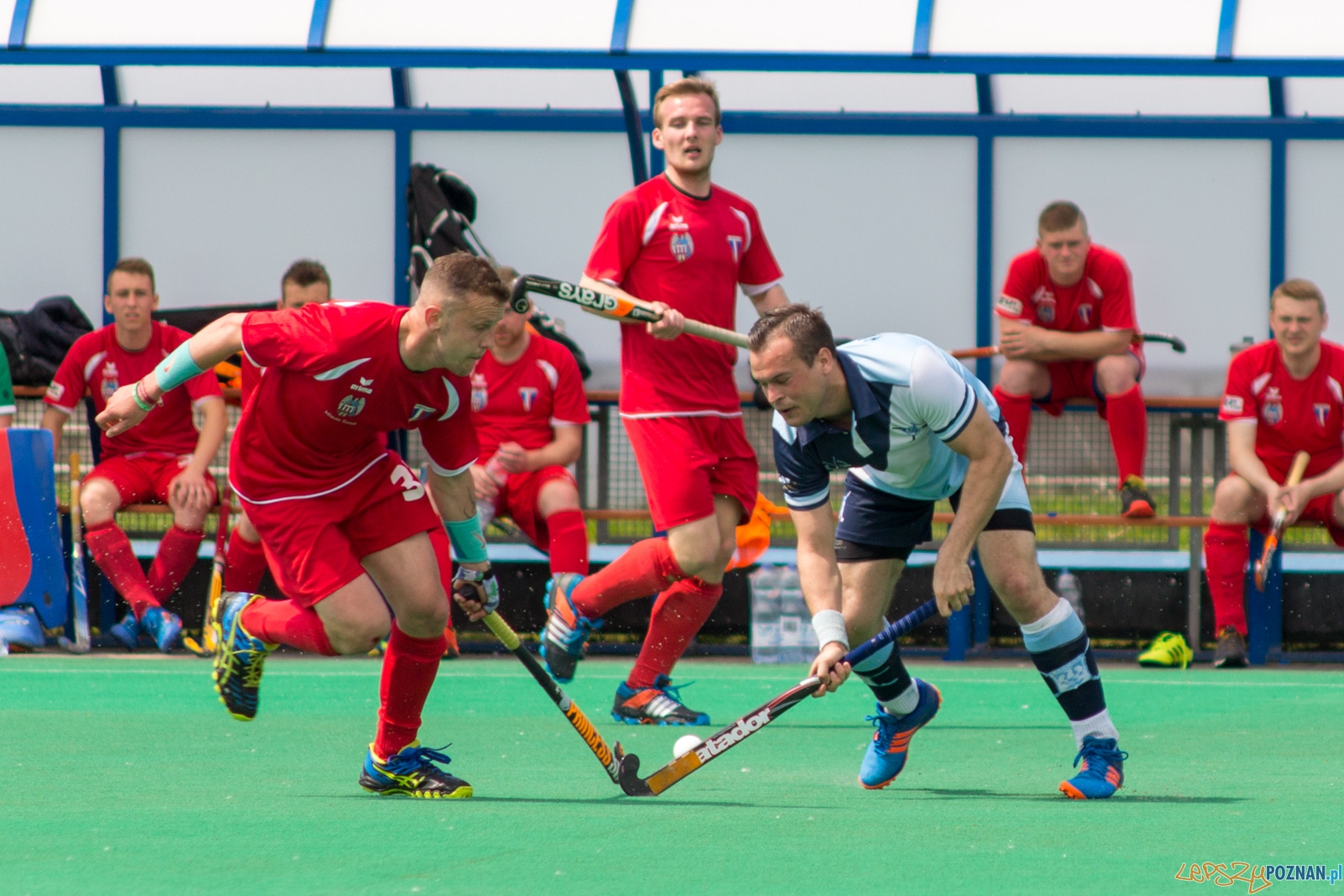 lp-9165 Foto: Ewelina Jaśkowiak lp-9165 Foto: Ewelina Jaśkowiak