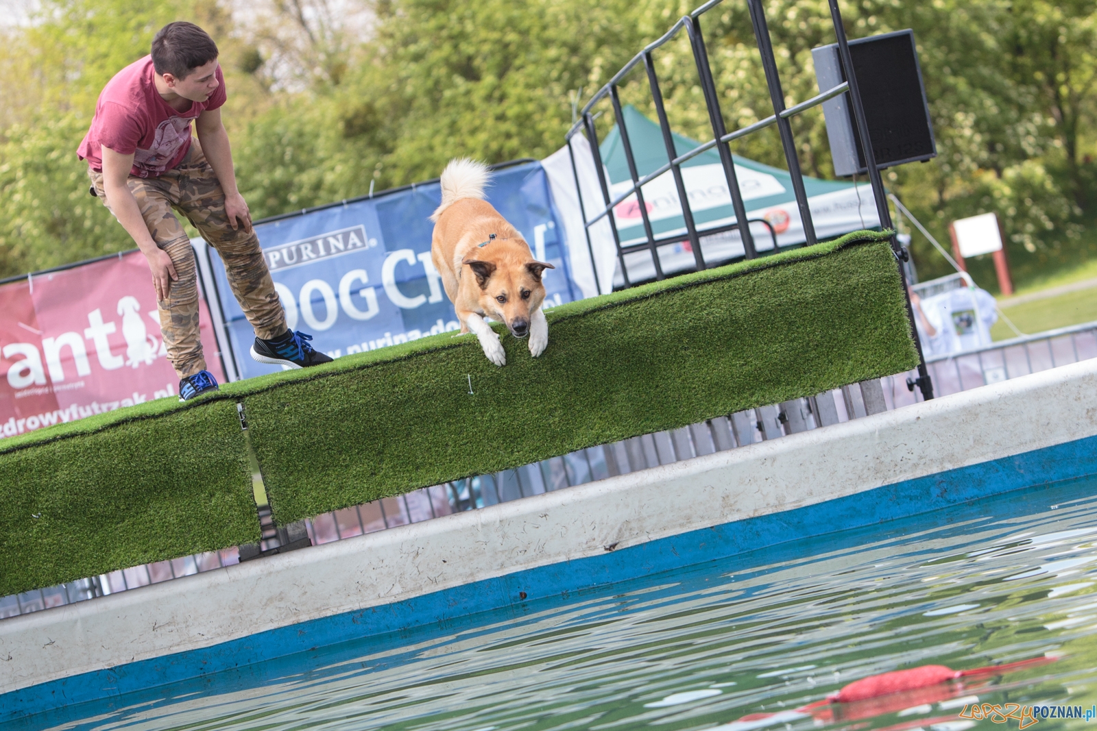 Latające Psy Poznań 2017 - Poznań 13.05.2017 r. Foto: LepszyPOZNAN.pl / Paweł Rychter Latające Psy Poznań 2017 - Poznań 13.05.2017 r. Foto: LepszyPOZNAN.pl / Paweł Rychter