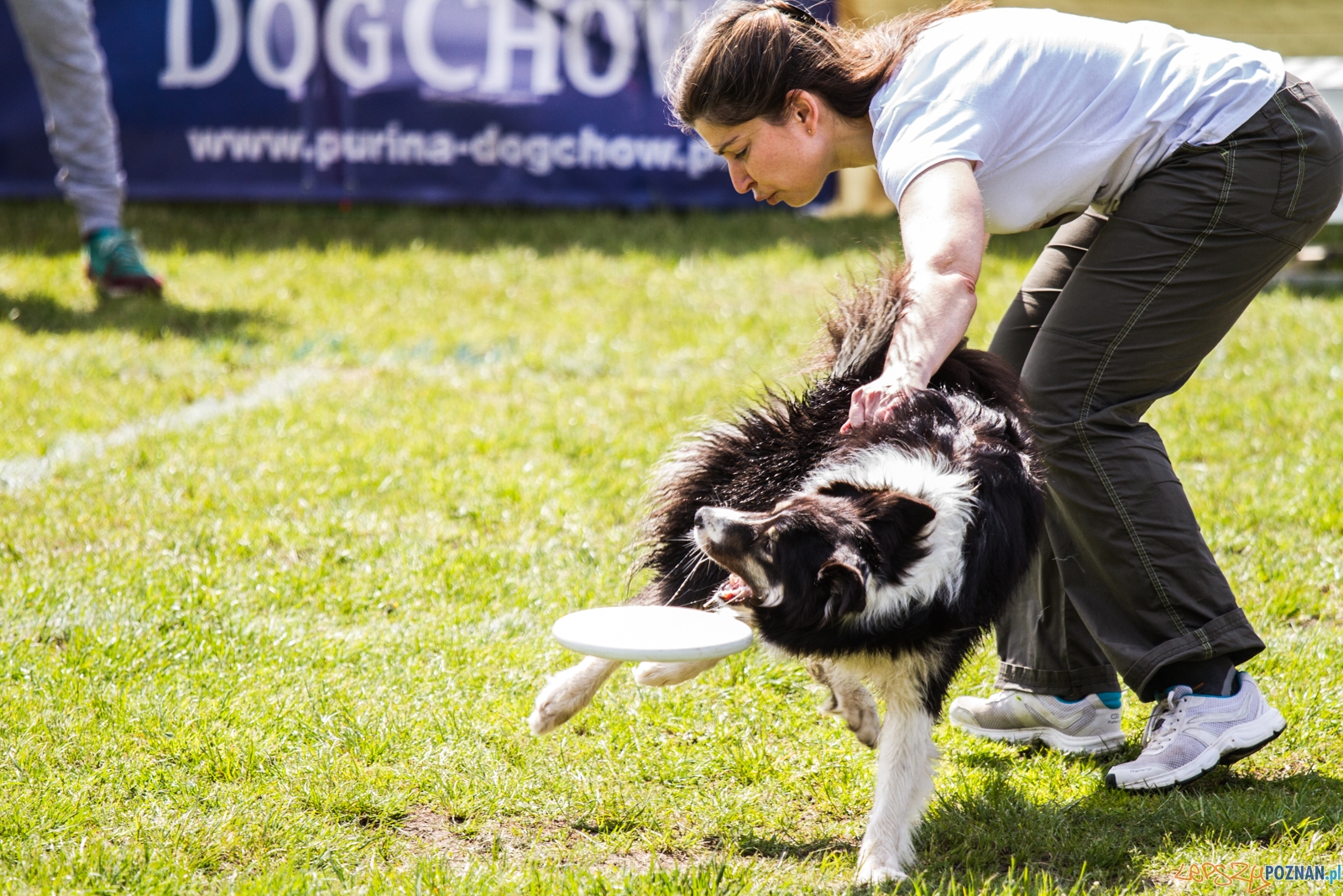 Latające psy (13.05.2017) Foto: © lepszyPOZNAN.pl / Karolina Kiraga Latające psy (13.05.2017) Foto: © lepszyPOZNAN.pl / Karolina Kiraga