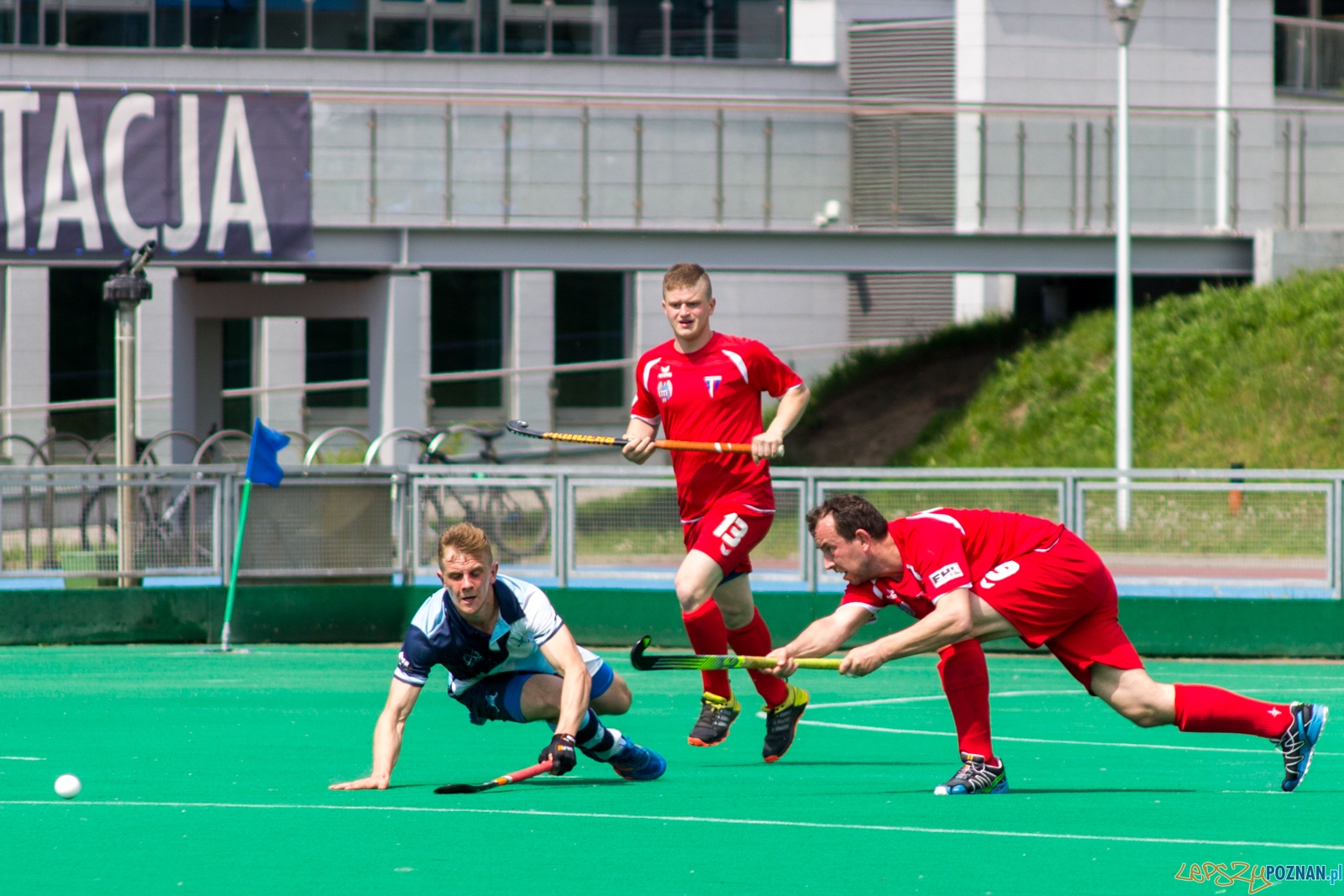 lp-9180 Foto: Ewelina Jaśkowiak lp-9180 Foto: Ewelina Jaśkowiak