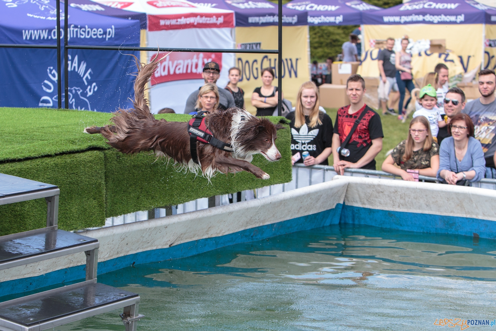 Latające Psy Poznań 2017 - Poznań 13.05.2017 r. Foto: LepszyPOZNAN.pl / Paweł Rychter Latające Psy Poznań 2017 - Poznań 13.05.2017 r. Foto: LepszyPOZNAN.pl / Paweł Rychter