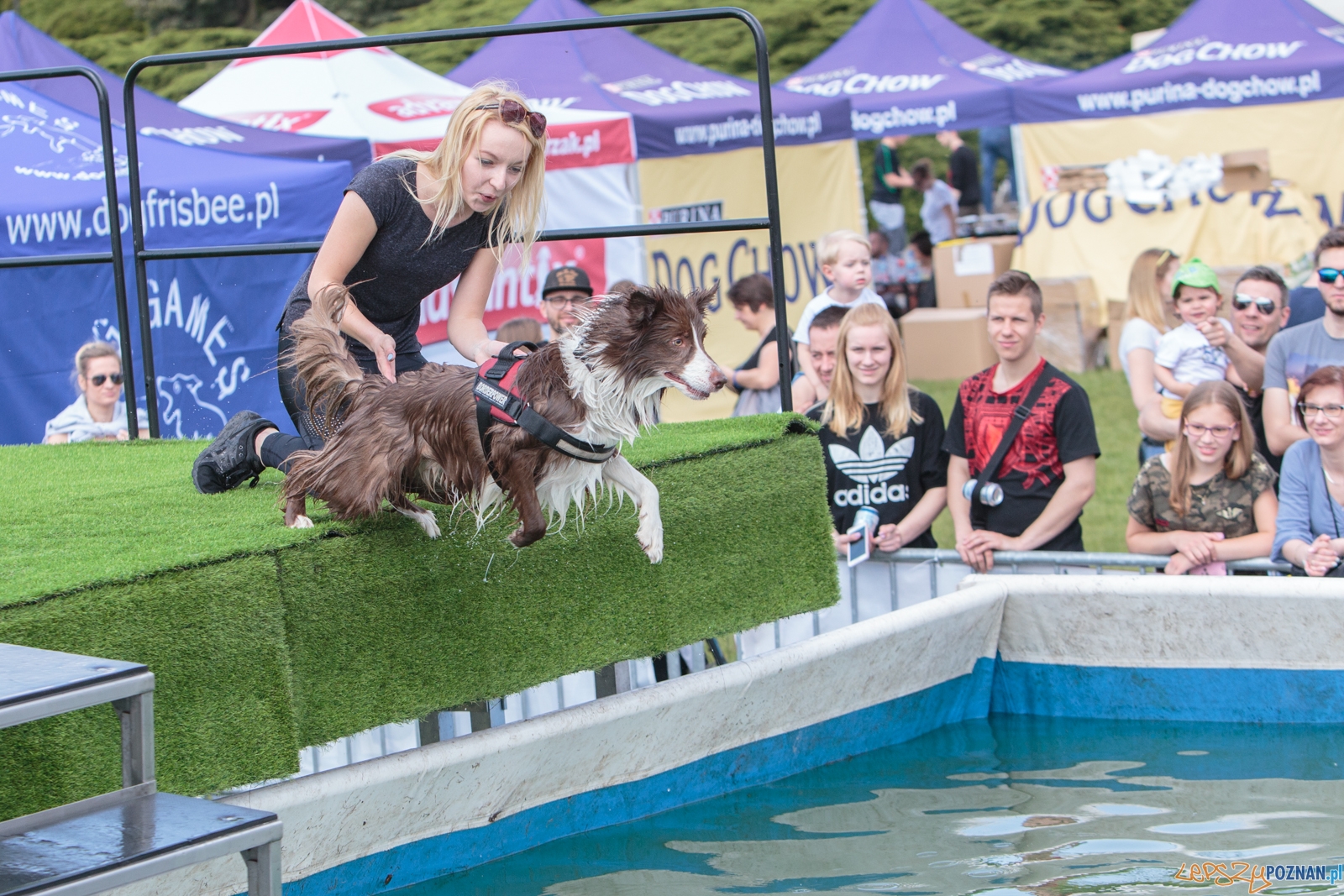 Latające Psy Poznań 2017 - Poznań 13.05.2017 r. Foto: LepszyPOZNAN.pl / Paweł Rychter Latające Psy Poznań 2017 - Poznań 13.05.2017 r. Foto: LepszyPOZNAN.pl / Paweł Rychter