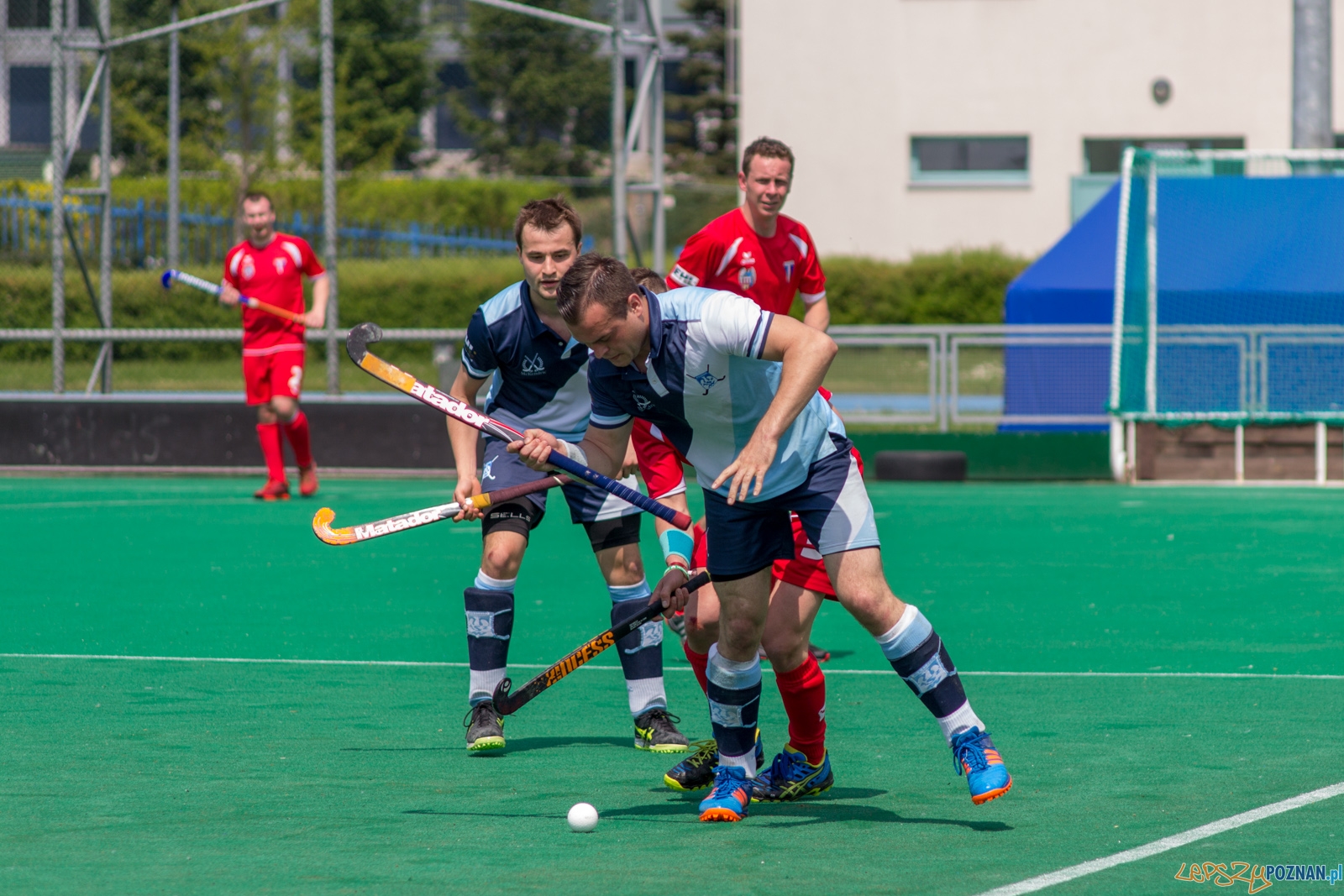 lp-9183 Foto: Ewelina Jaśkowiak lp-9183 Foto: Ewelina Jaśkowiak