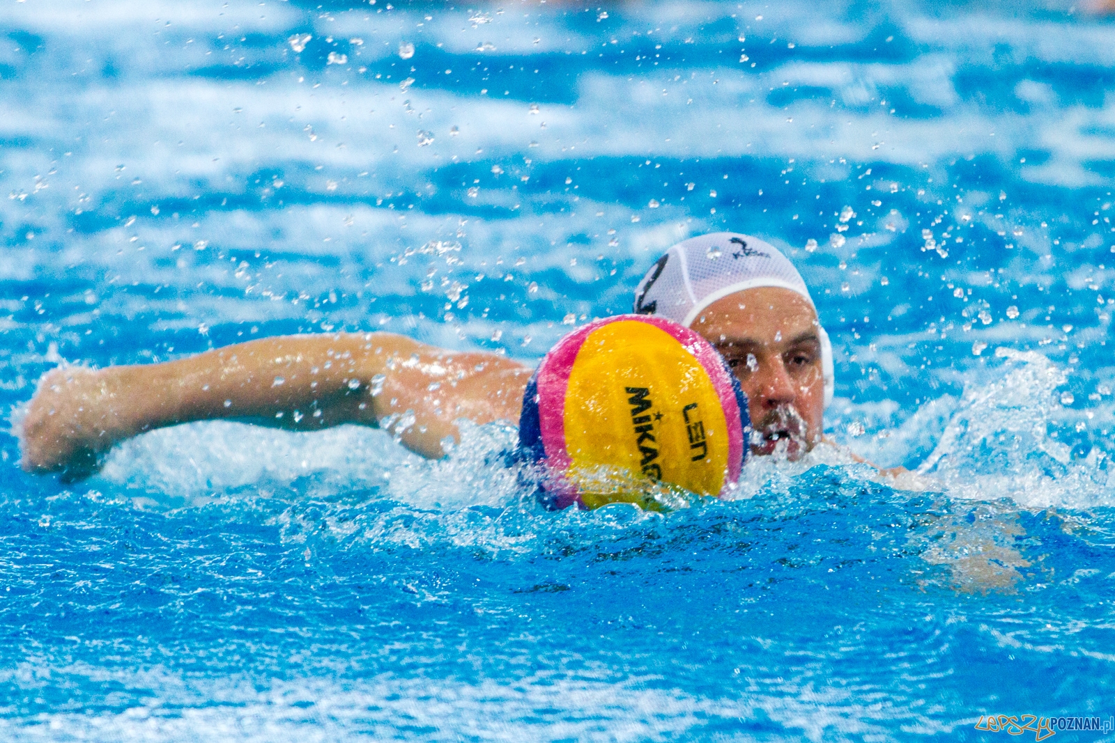 Waterpolo Poznań - ŁSTW UŁ Foto: lepszyPOZNAN.pl / Piotr Rychter Waterpolo Poznań - ŁSTW UŁ Foto: lepszyPOZNAN.pl / Piotr Rychter