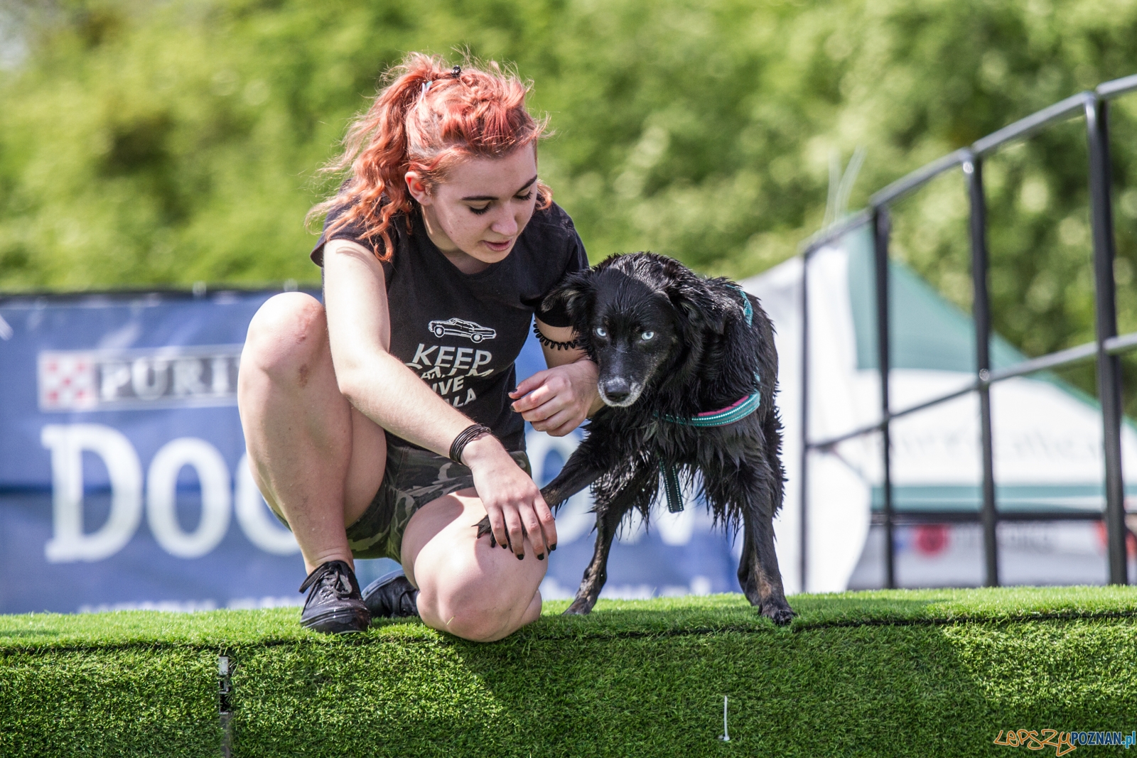 Latające psy (13.05.2017) Foto: © lepszyPOZNAN.pl / Karolina Kiraga Latające psy (13.05.2017) Foto: © lepszyPOZNAN.pl / Karolina Kiraga