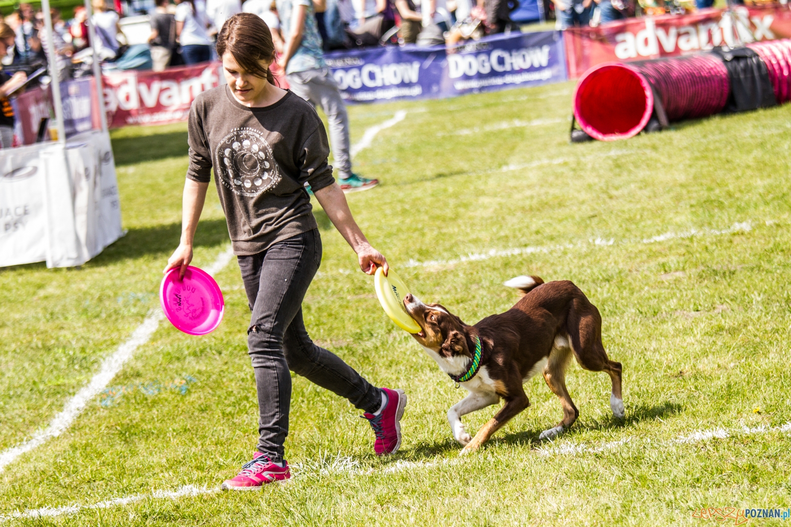 Latające psy (13.05.2017) Foto: © lepszyPOZNAN.pl / Karolina Kiraga Latające psy (13.05.2017) Foto: © lepszyPOZNAN.pl / Karolina Kiraga