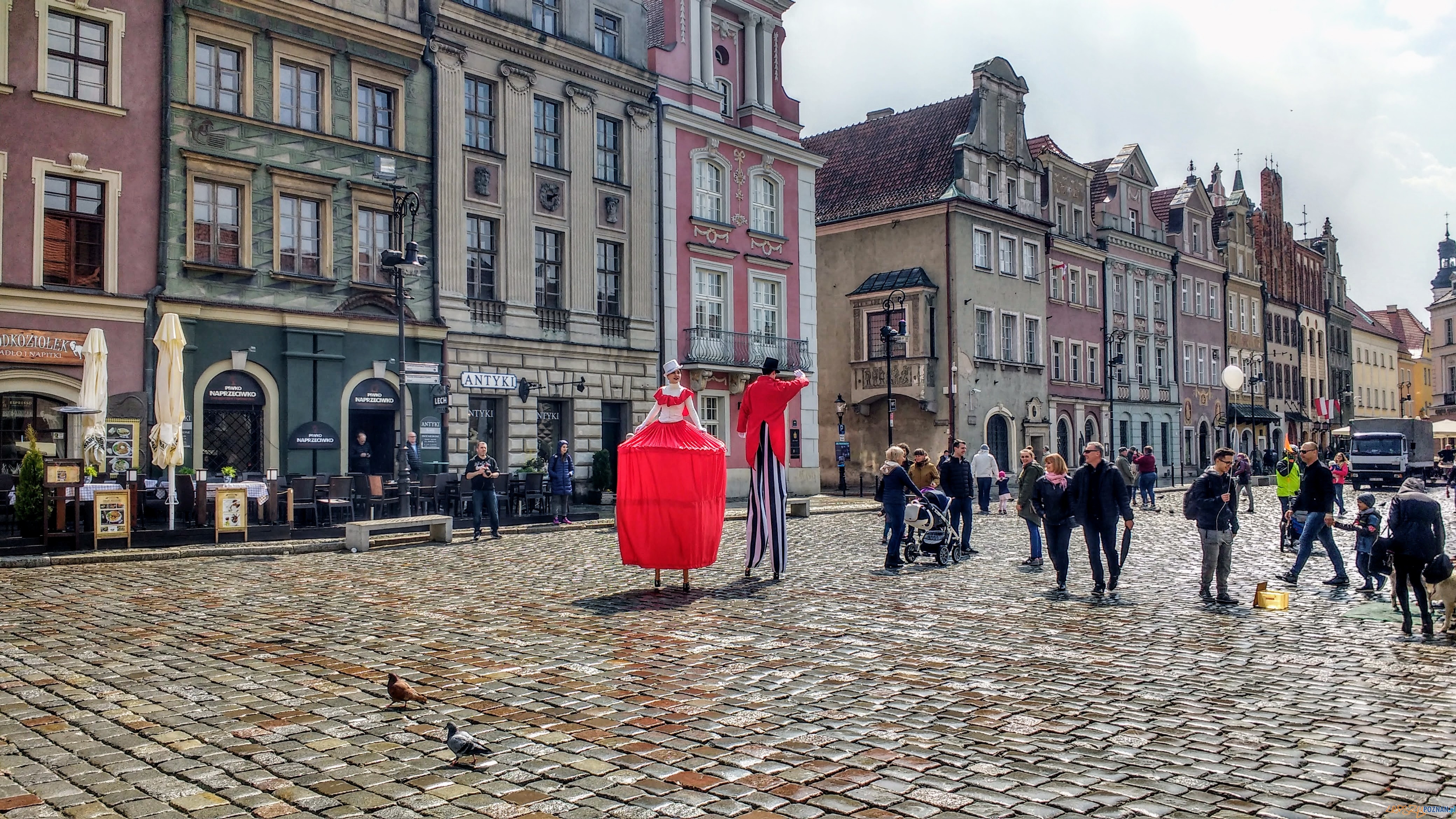 Udany jubileusz akcji Poznań za pół ceny - Stary Rynek, szczudlarze Foto: PLOT / Wojciech Mania Udany jubileusz akcji Poznań za pół ceny - Stary Rynek, szczudlarze Foto: PLOT / Wojciech Mania
