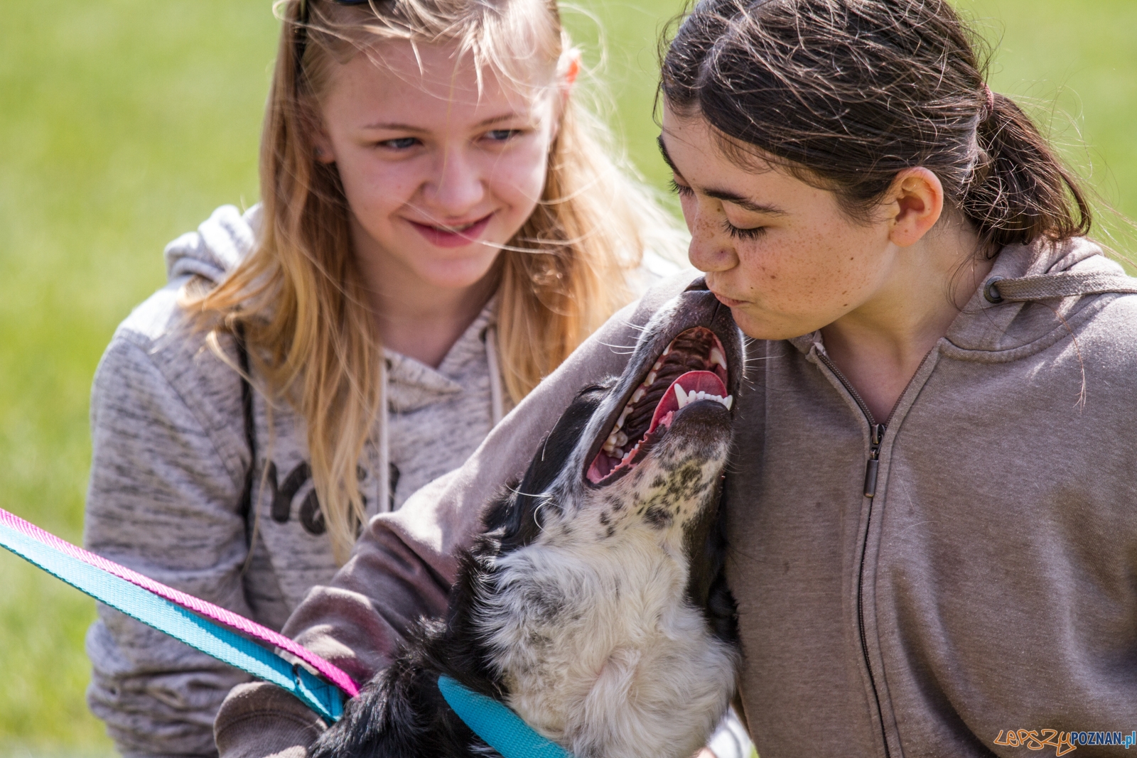 Latające psy (13.05.2017) Foto: © lepszyPOZNAN.pl / Karolina Kiraga Latające psy (13.05.2017) Foto: © lepszyPOZNAN.pl / Karolina Kiraga