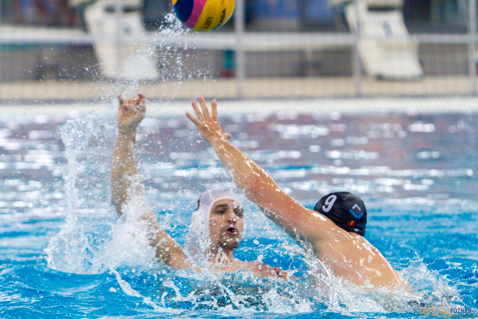 Waterpolo Poznań - ŁSTW UŁ Foto: lepszyPOZNAN.pl / Piotr Rychter Waterpolo Poznań - ŁSTW UŁ Foto: lepszyPOZNAN.pl / Piotr Rychter