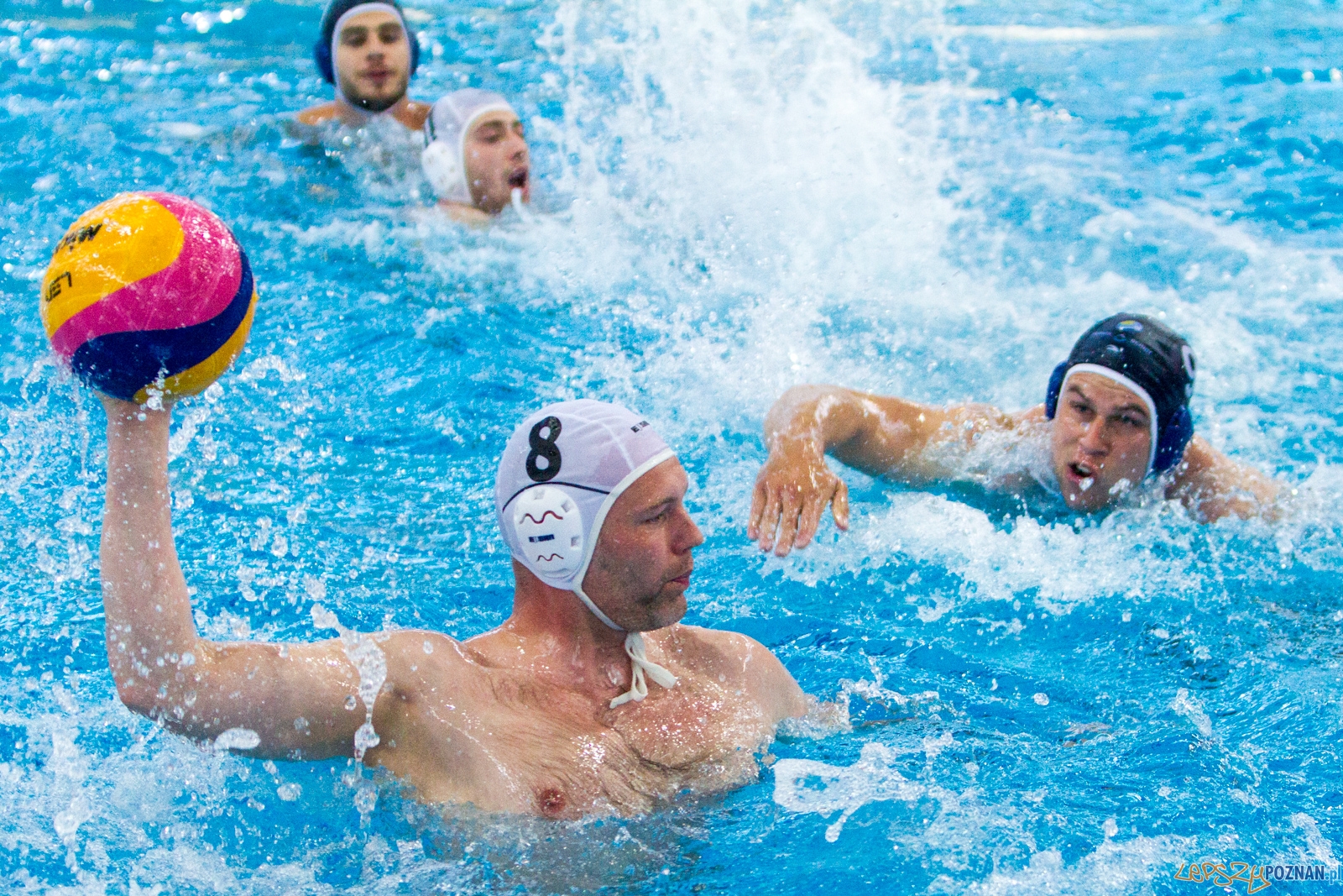 Waterpolo Poznań - ŁSTW UŁ Foto: lepszyPOZNAN.pl / Piotr Rychter Waterpolo Poznań - ŁSTW UŁ Foto: lepszyPOZNAN.pl / Piotr Rychter