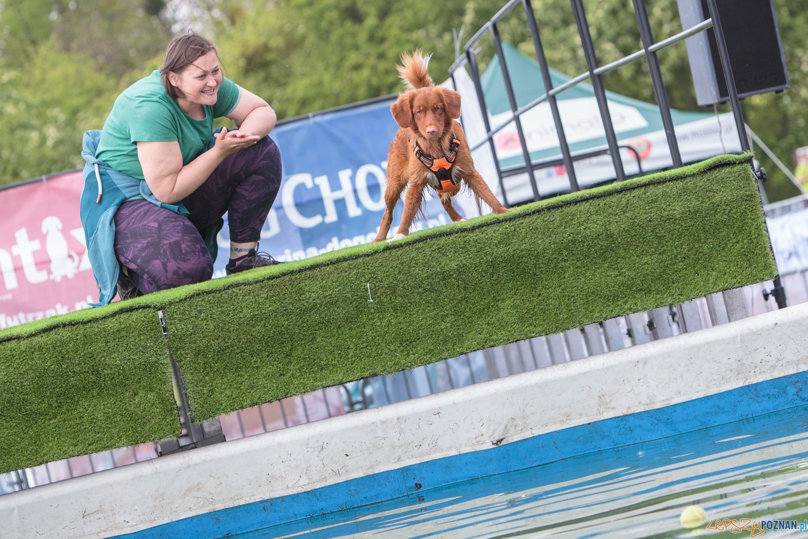 Latające Psy Poznań 2017 - Poznań 13.05.2017 r. Foto: LepszyPOZNAN.pl / Paweł Rychter Latające Psy Poznań 2017 - Poznań 13.05.2017 r. Foto: LepszyPOZNAN.pl / Paweł Rychter