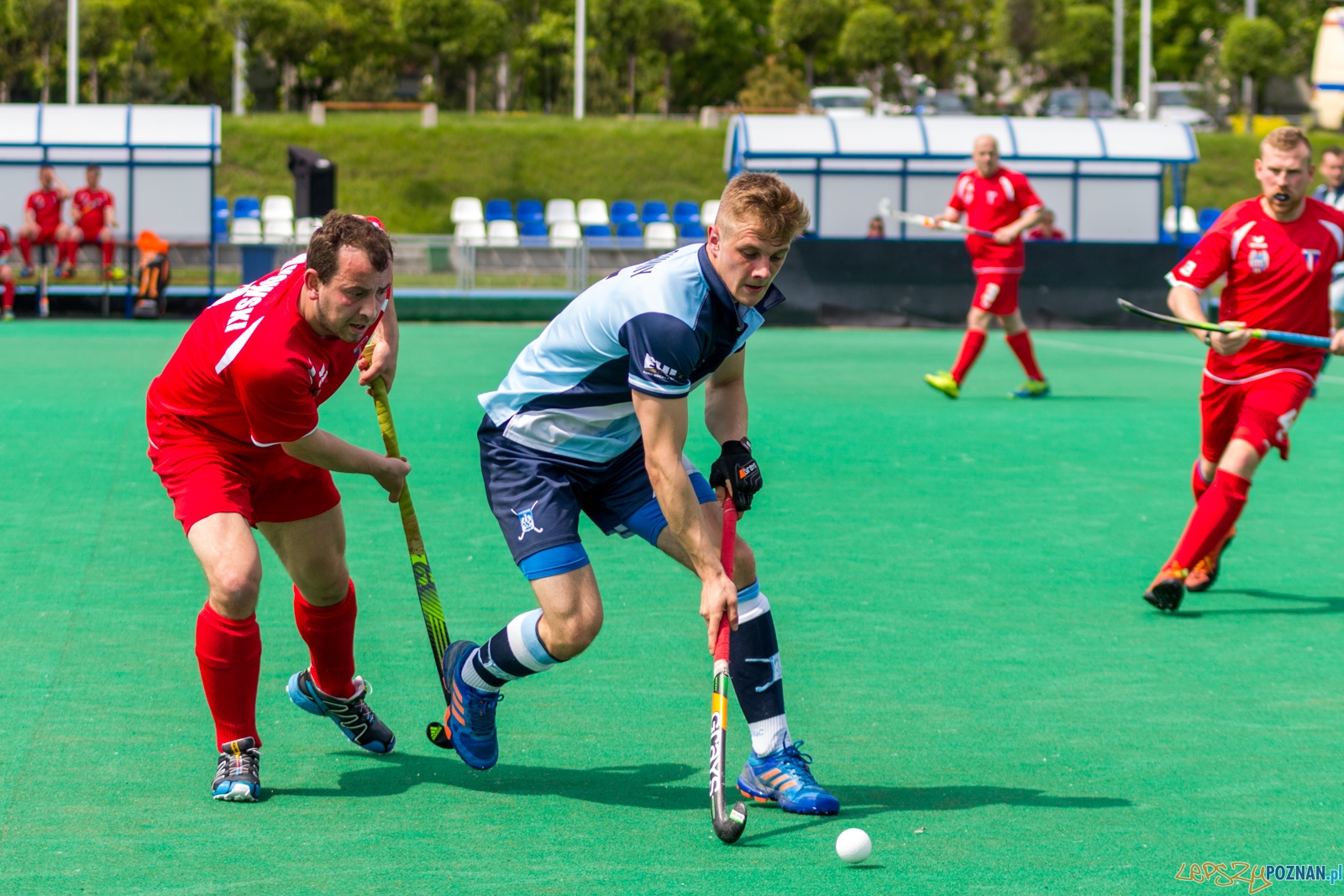 lp-9047 Foto: Ewelina Jaśkowiak lp-9047 Foto: Ewelina Jaśkowiak