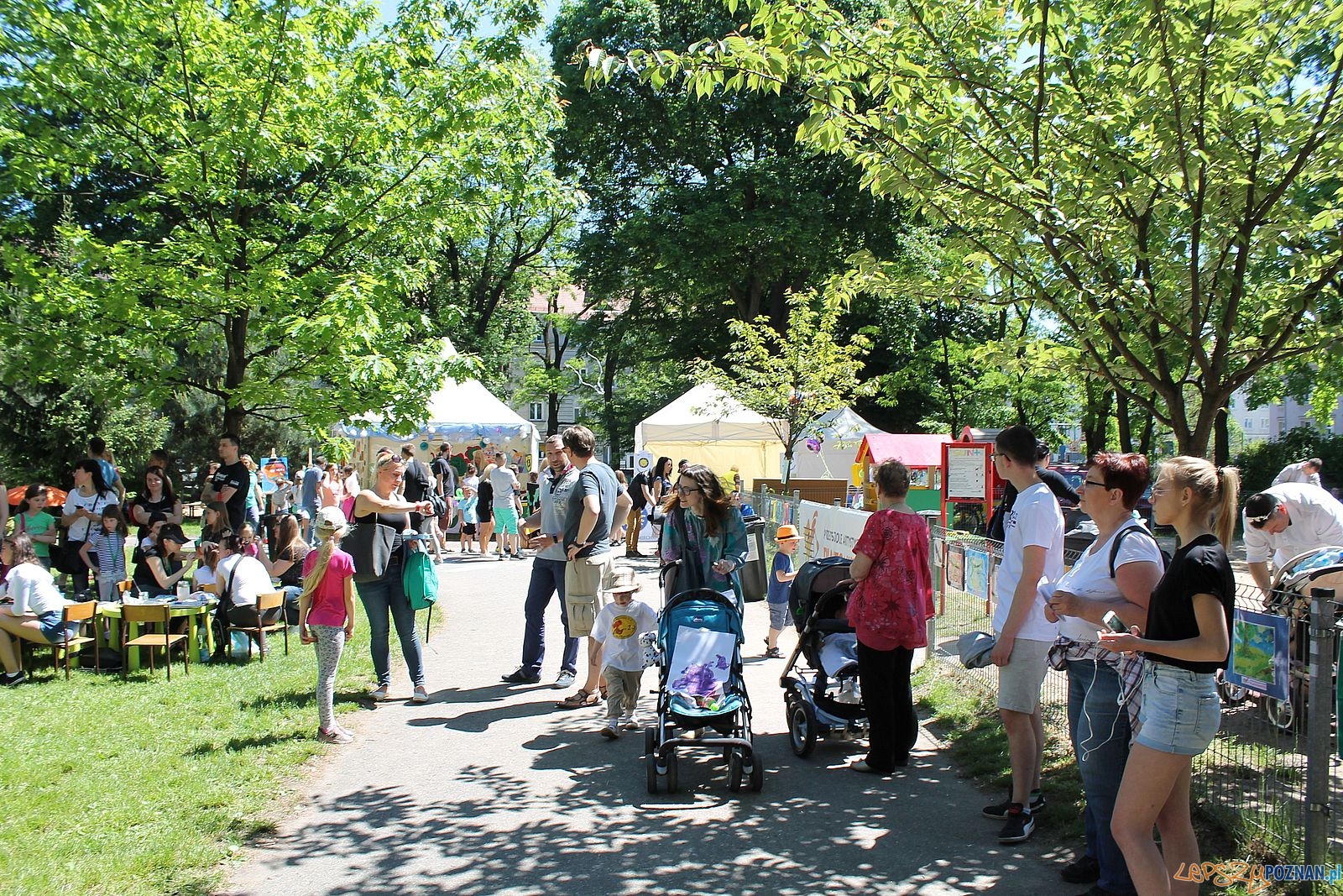 Rodzinny Festyn w Ogrodzie Jordanowskim (21) Foto: Rodzinny Festyn w Ogrodzie Jordanowskim (21) Foto: