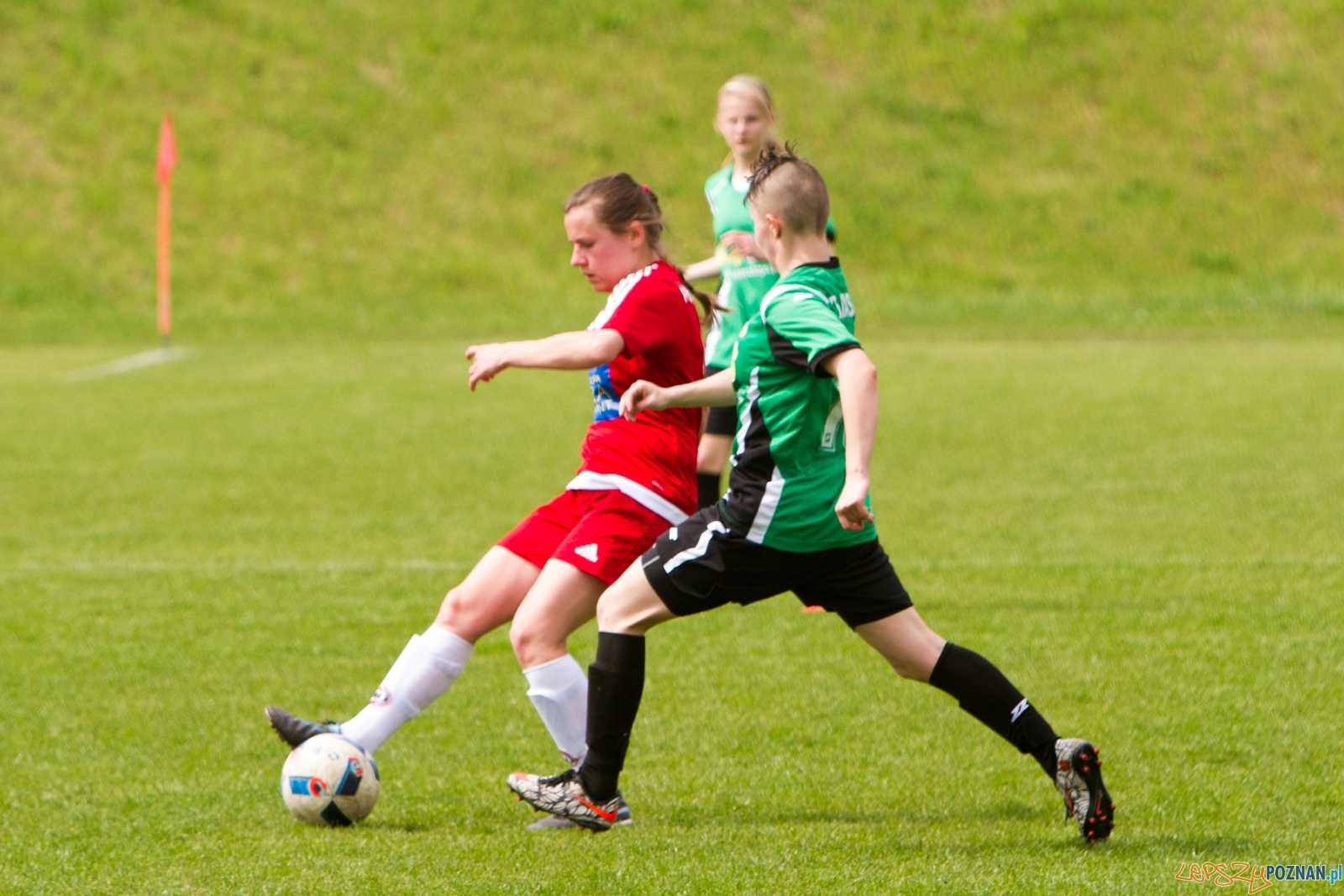 Polonia Poznań - KS Raszyn Foto: lepszyPOZNAN.pl / Piotr Rychter Polonia Poznań - KS Raszyn Foto: lepszyPOZNAN.pl / Piotr Rychter