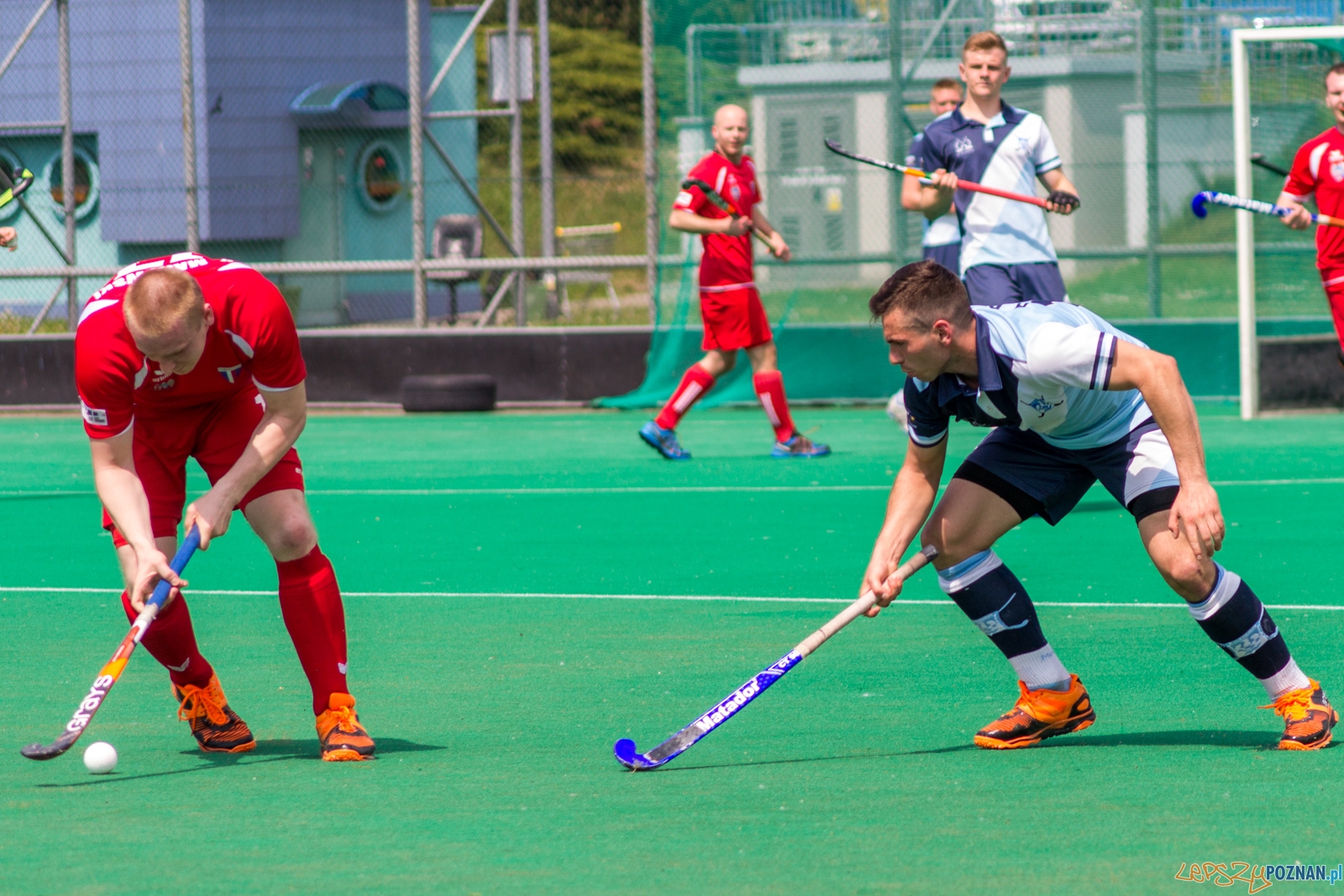 lp-9161 Foto: Ewelina Jaśkowiak lp-9161 Foto: Ewelina Jaśkowiak