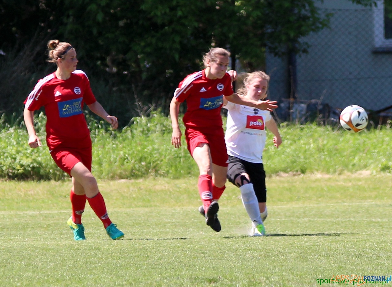 Polonia Poznań - Medyk II Konin Foto: sportowy-poznan.pl / Elżbieta Skowron Polonia Poznań - Medyk II Konin Foto: sportowy-poznan.pl / Elżbieta Skowron