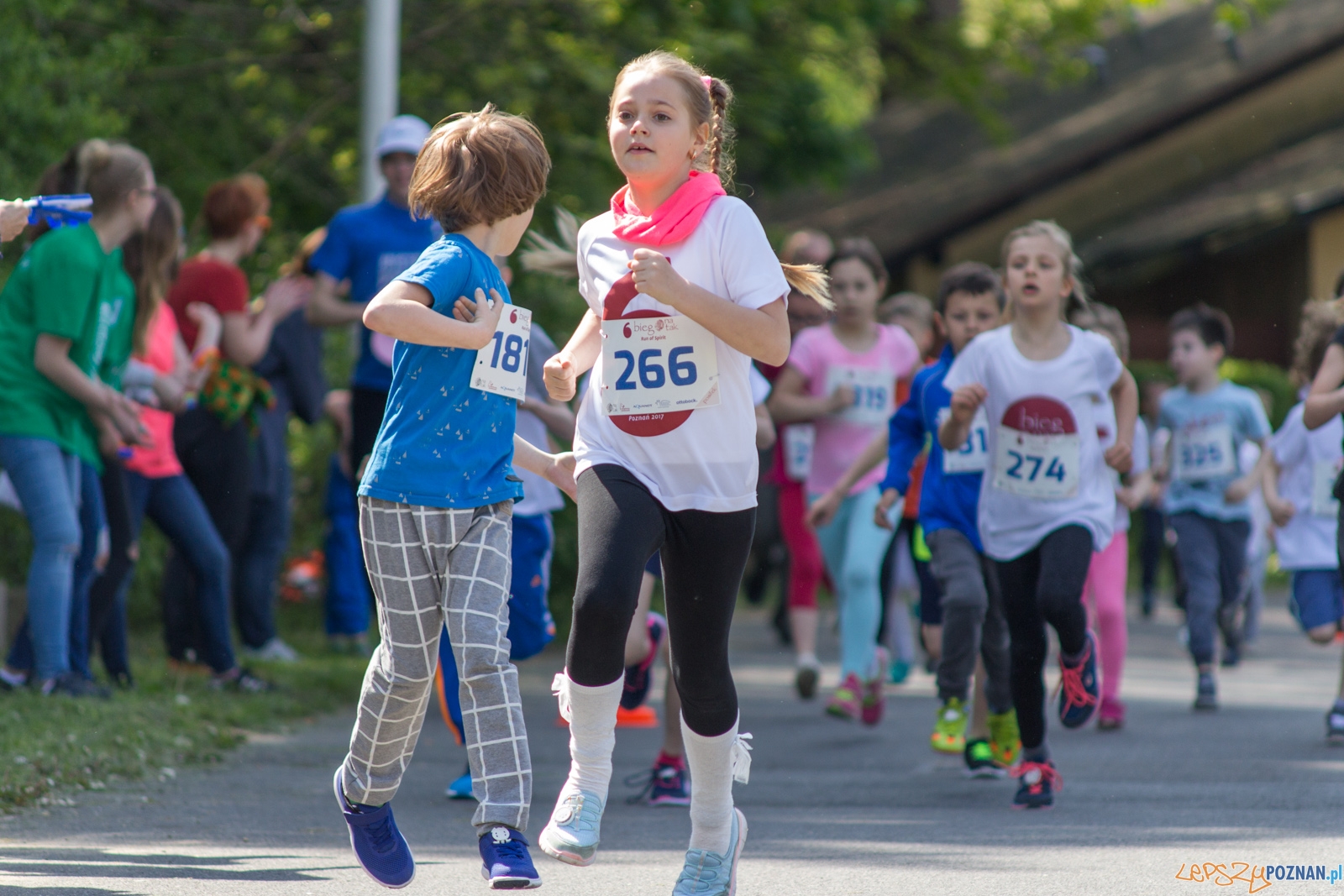 VI Bieg Na Tak Foto: lepszyPOZNAN.pl / Ewelina Jaśkowiak VI Bieg Na Tak Foto: lepszyPOZNAN.pl / Ewelina Jaśkowiak