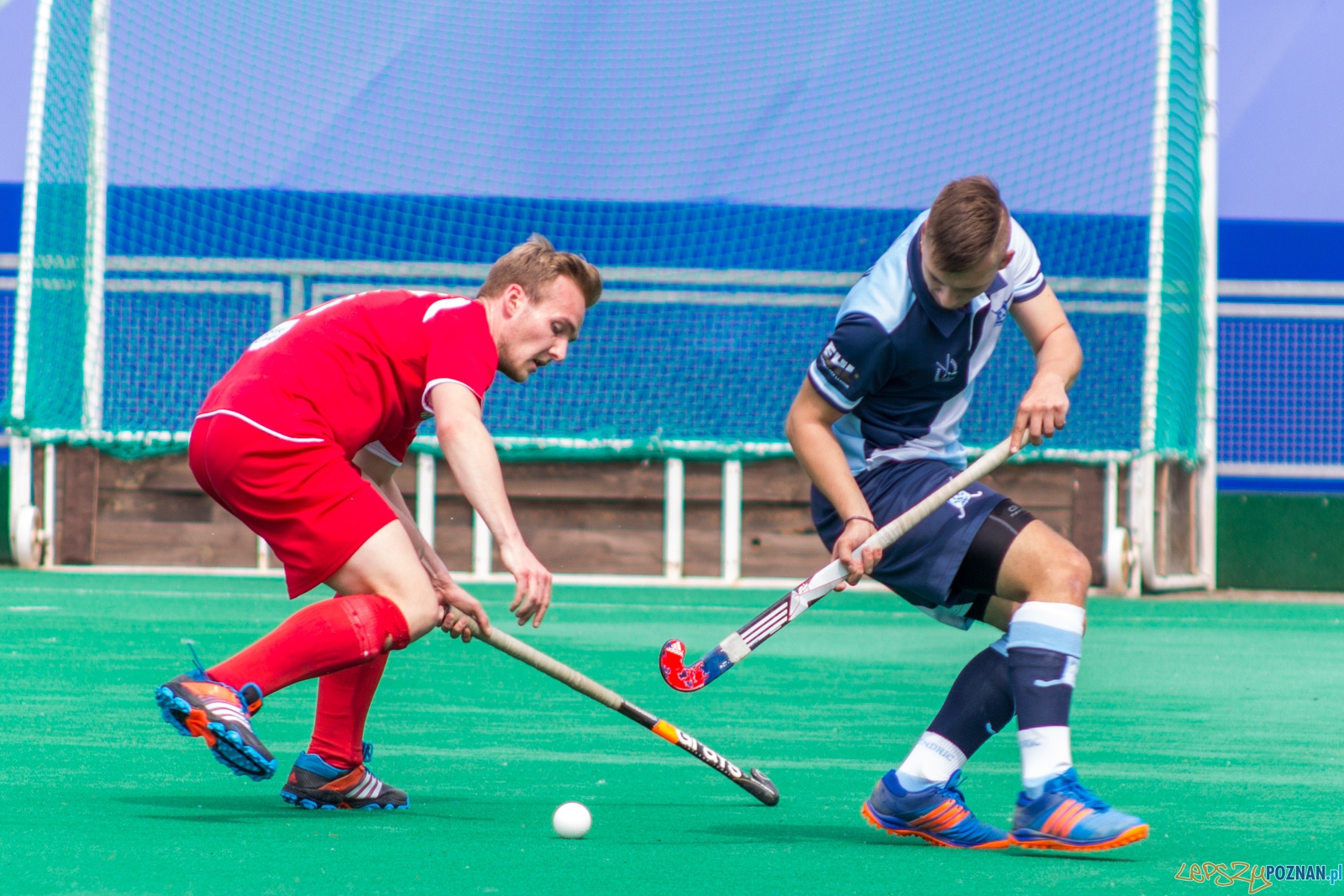 lp-8979 Foto: Ewelina Jaśkowiak lp-8979 Foto: Ewelina Jaśkowiak