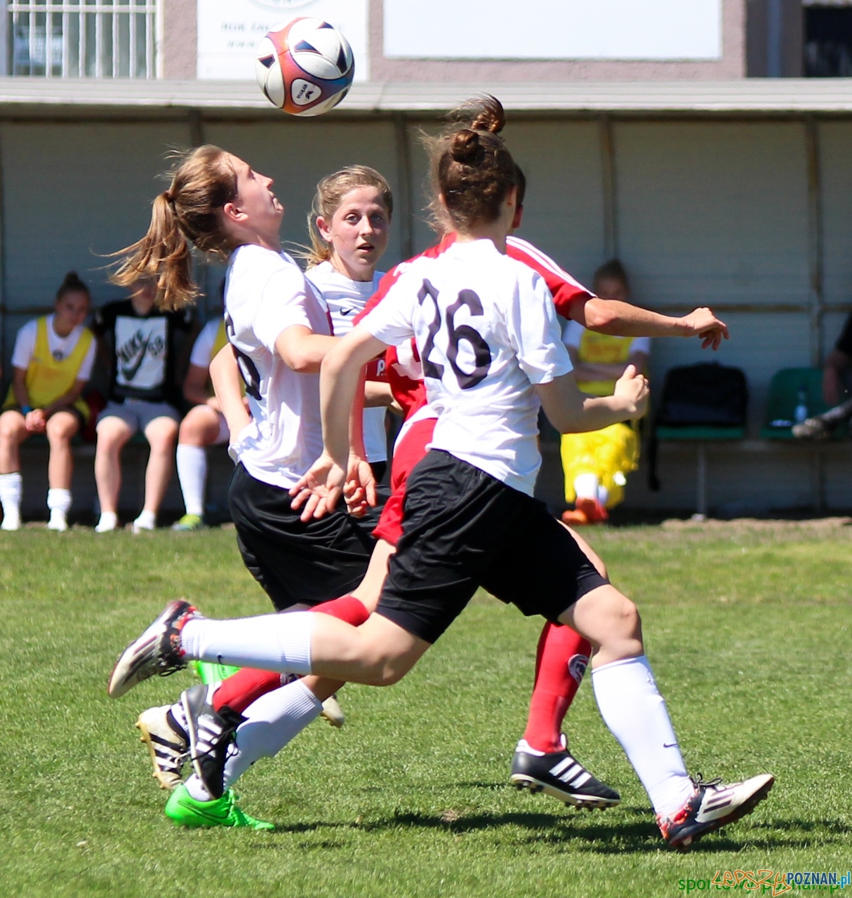 Polonia Poznań - Medyk II Konin Foto: sportowy-poznan.pl / Elżbieta Skowron Polonia Poznań - Medyk II Konin Foto: sportowy-poznan.pl / Elżbieta Skowron