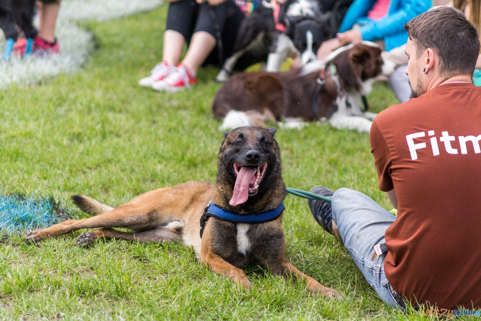 Latajace psy Foto: lepszyPOZNAN.pl / Ewelina Jaśkowiak Latajace psy Foto: lepszyPOZNAN.pl / Ewelina Jaśkowiak