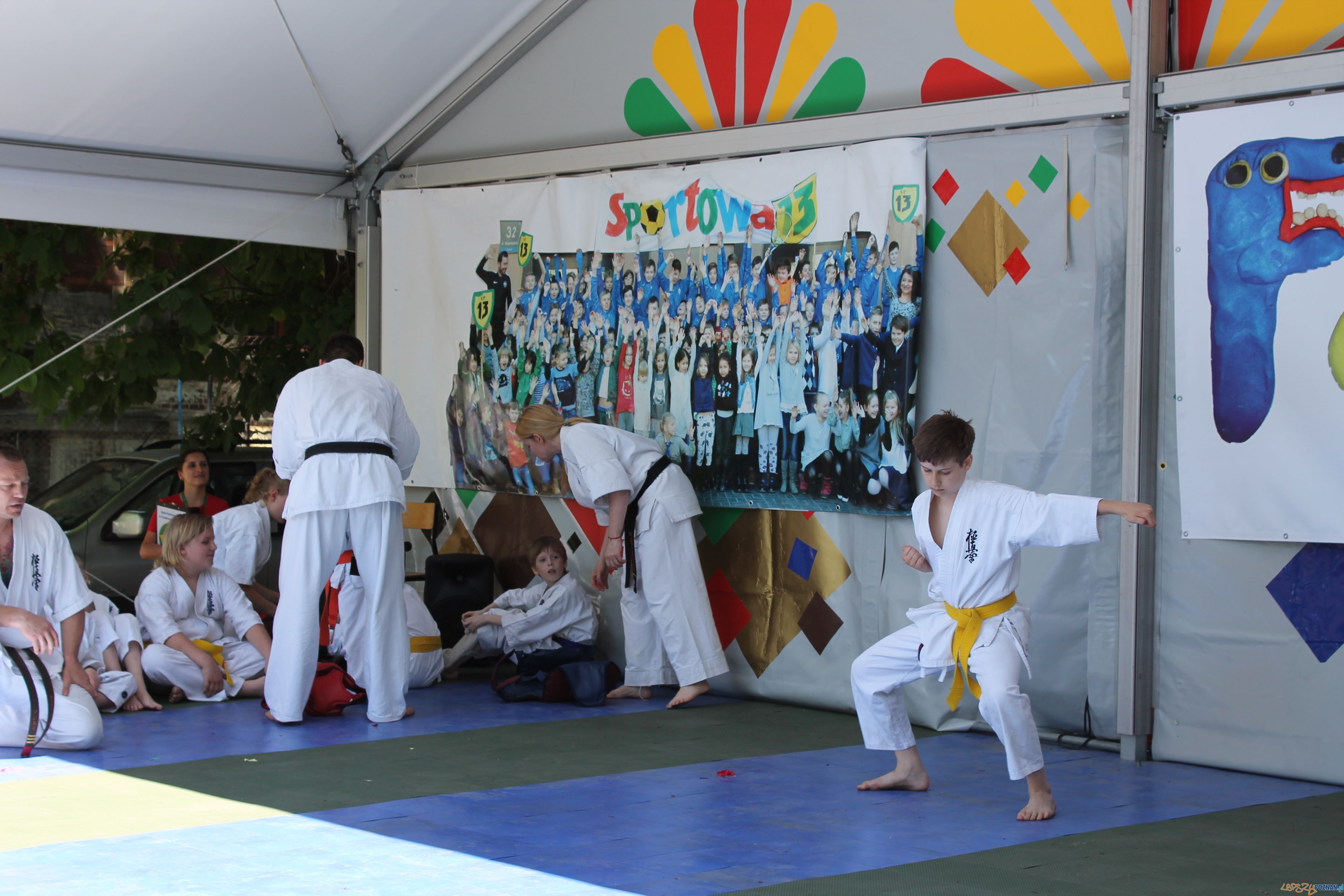 Rodzinny Festyn w Ogrodzie Jordanowskim (50) Foto: Rodzinny Festyn w Ogrodzie Jordanowskim (50) Foto: