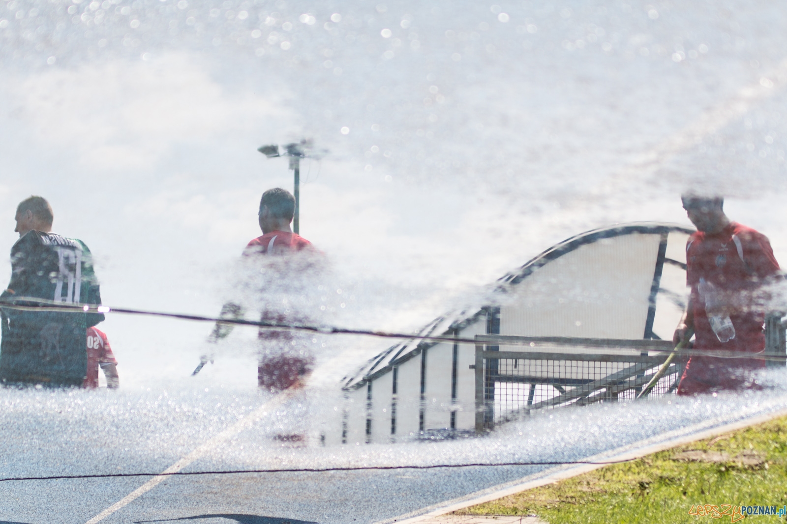 lp-9149 Foto: Ewelina Jaśkowiak lp-9149 Foto: Ewelina Jaśkowiak