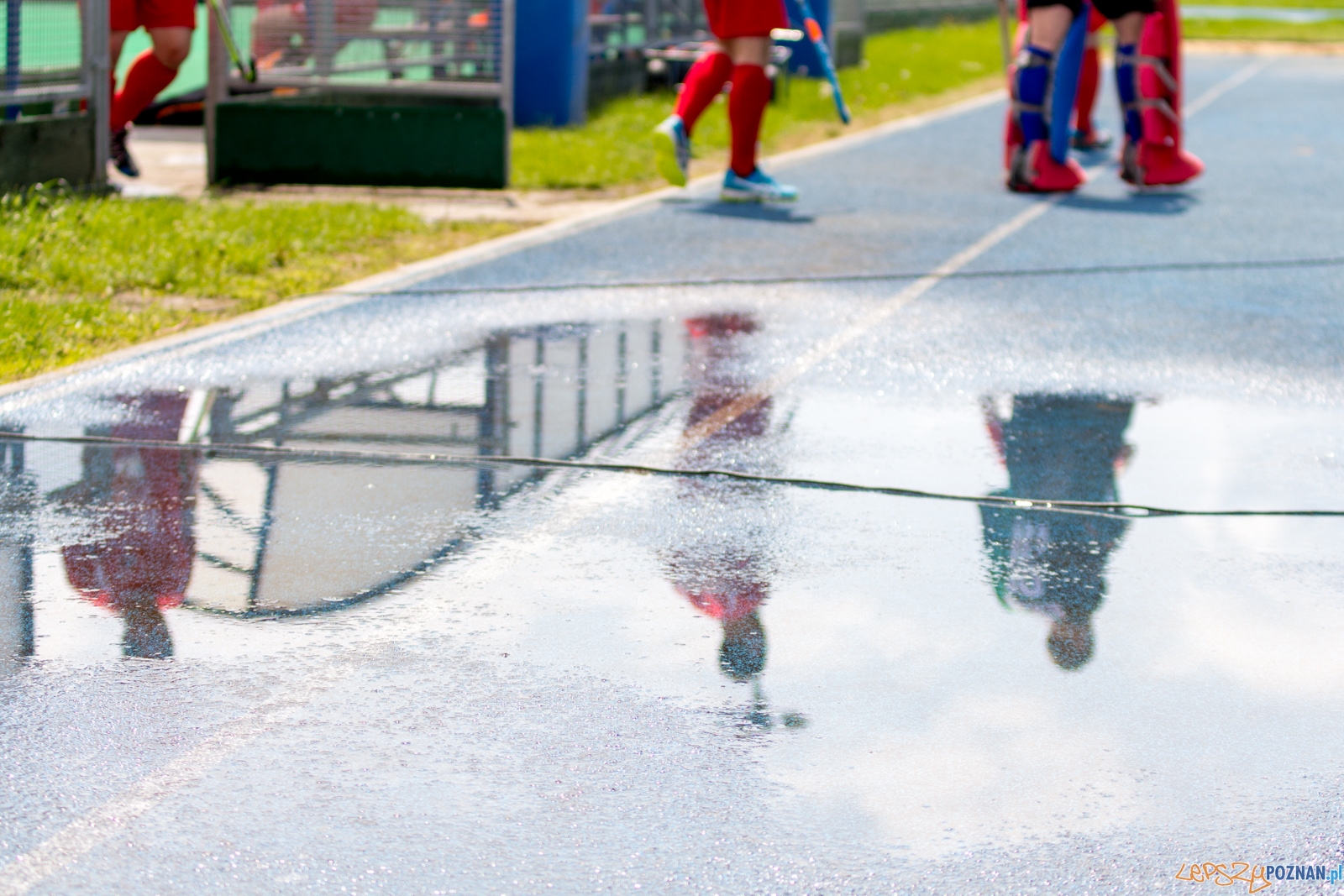 lp-9148 Foto: Ewelina Jaśkowiak lp-9148 Foto: Ewelina Jaśkowiak