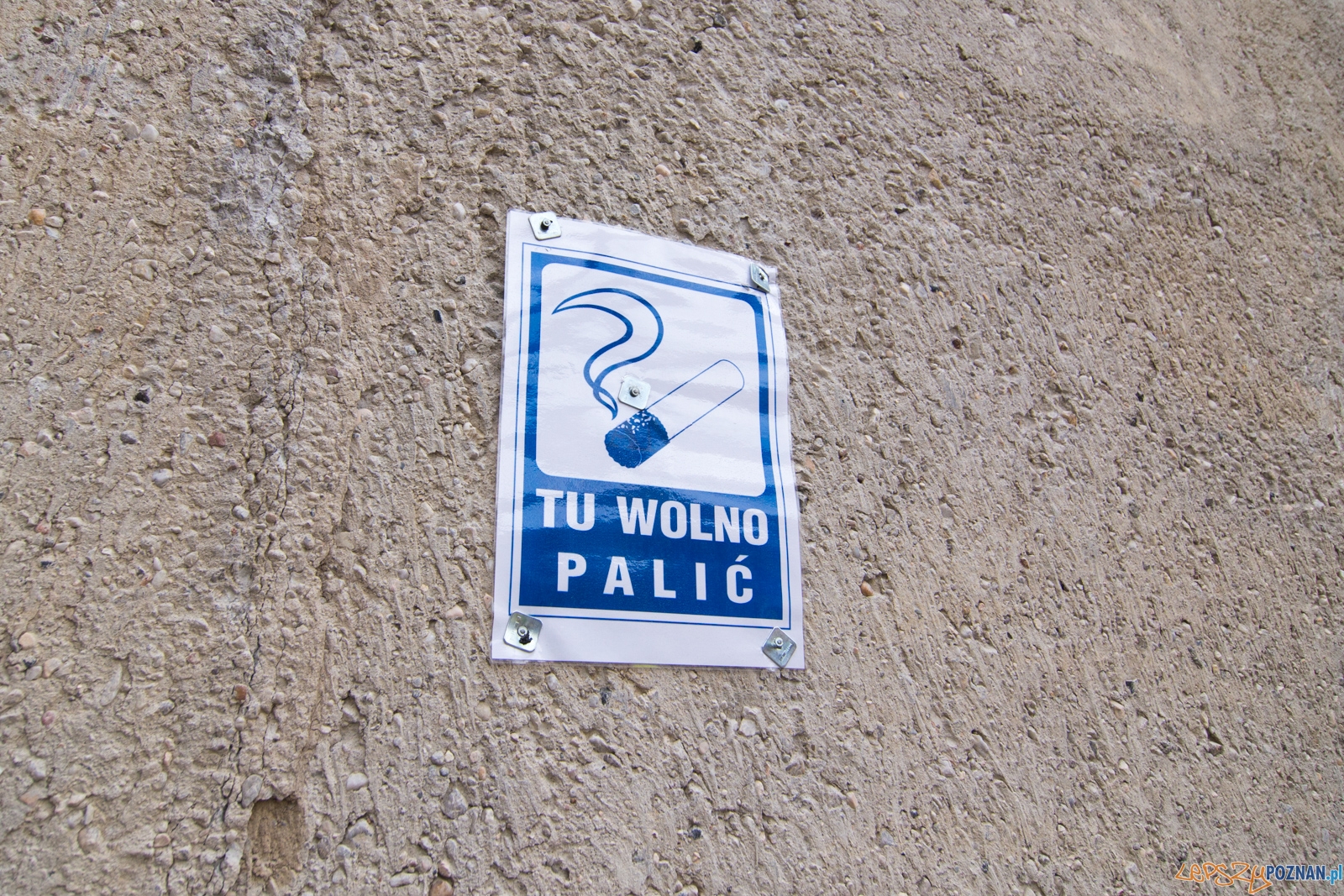 Tydzień bezpieczeństwa - szkolenie na terenie budowy Pixel 3 Foto: lepszyPOZNAN.pl / Piotr Rychter Tydzień bezpieczeństwa - szkolenie na terenie budowy Pixel 3 Foto: lepszyPOZNAN.pl / Piotr Rychter