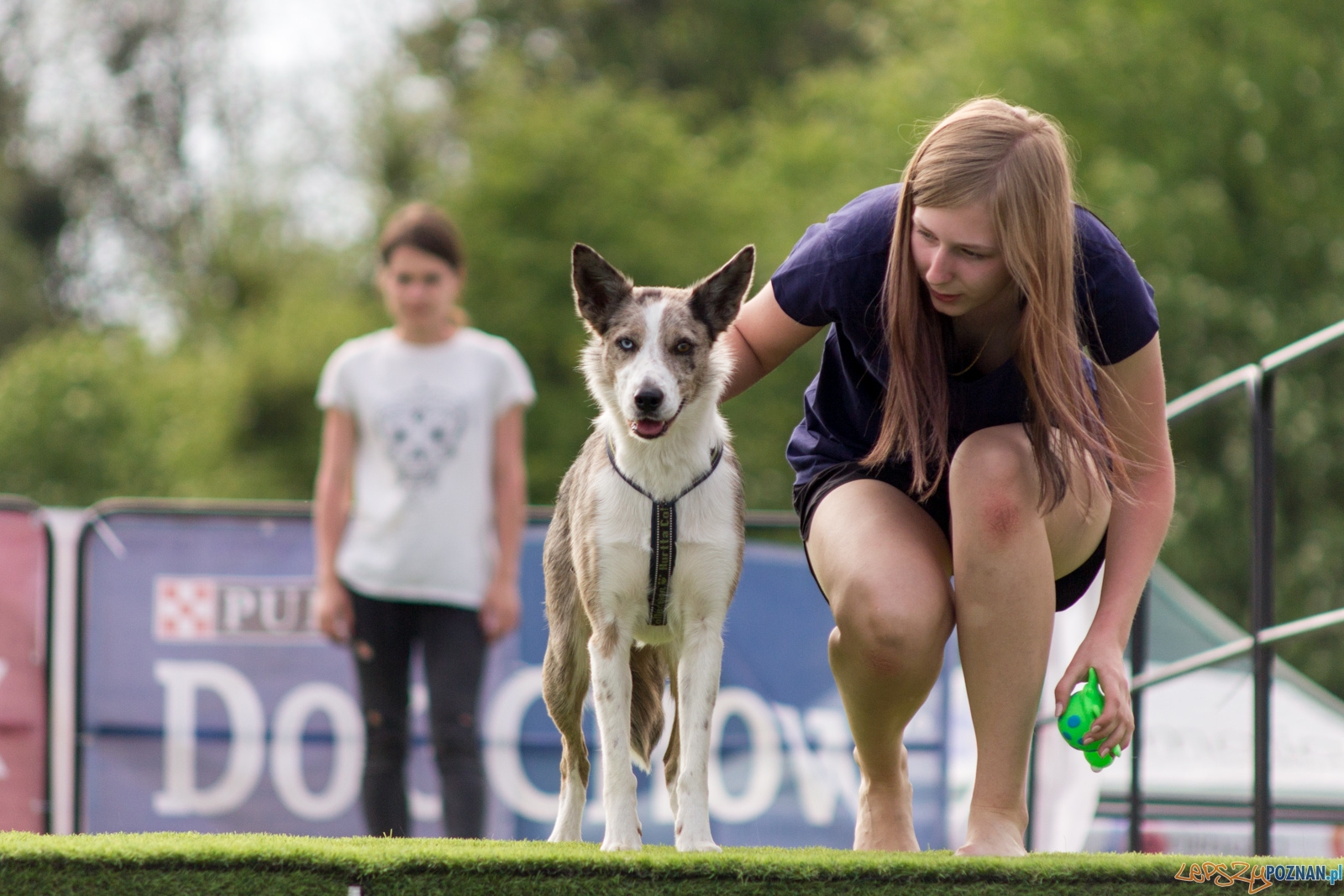 Latajace psy Foto: lepszyPOZNAN.pl / Ewelina Jaśkowiak Latajace psy Foto: lepszyPOZNAN.pl / Ewelina Jaśkowiak