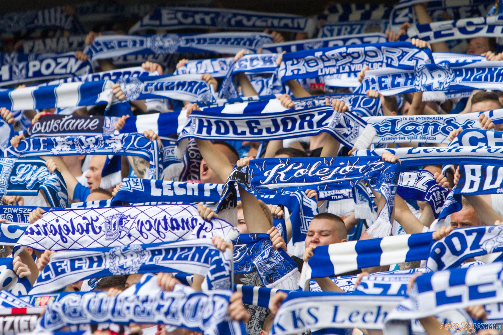 Lech Poznań - Pogoń Szczecin Foto: lepszyPOZNAN.pl / Piotr Rychter Lech Poznań - Pogoń Szczecin Foto: lepszyPOZNAN.pl / Piotr Rychter
