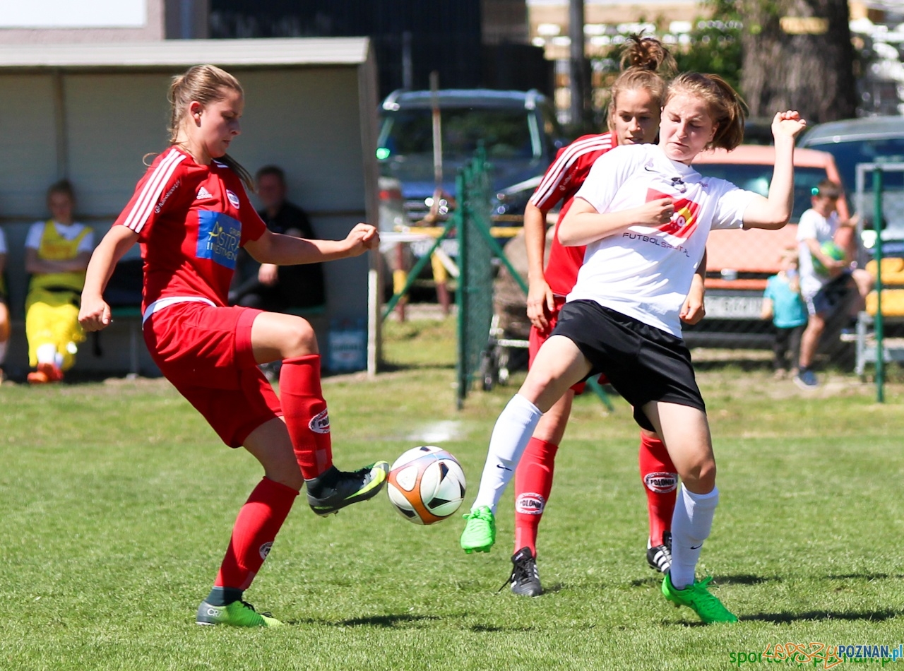 Polonia Poznań - Medyk II Konin Foto: sportowy-poznan.pl / Elżbieta Skowron Polonia Poznań - Medyk II Konin Foto: sportowy-poznan.pl / Elżbieta Skowron