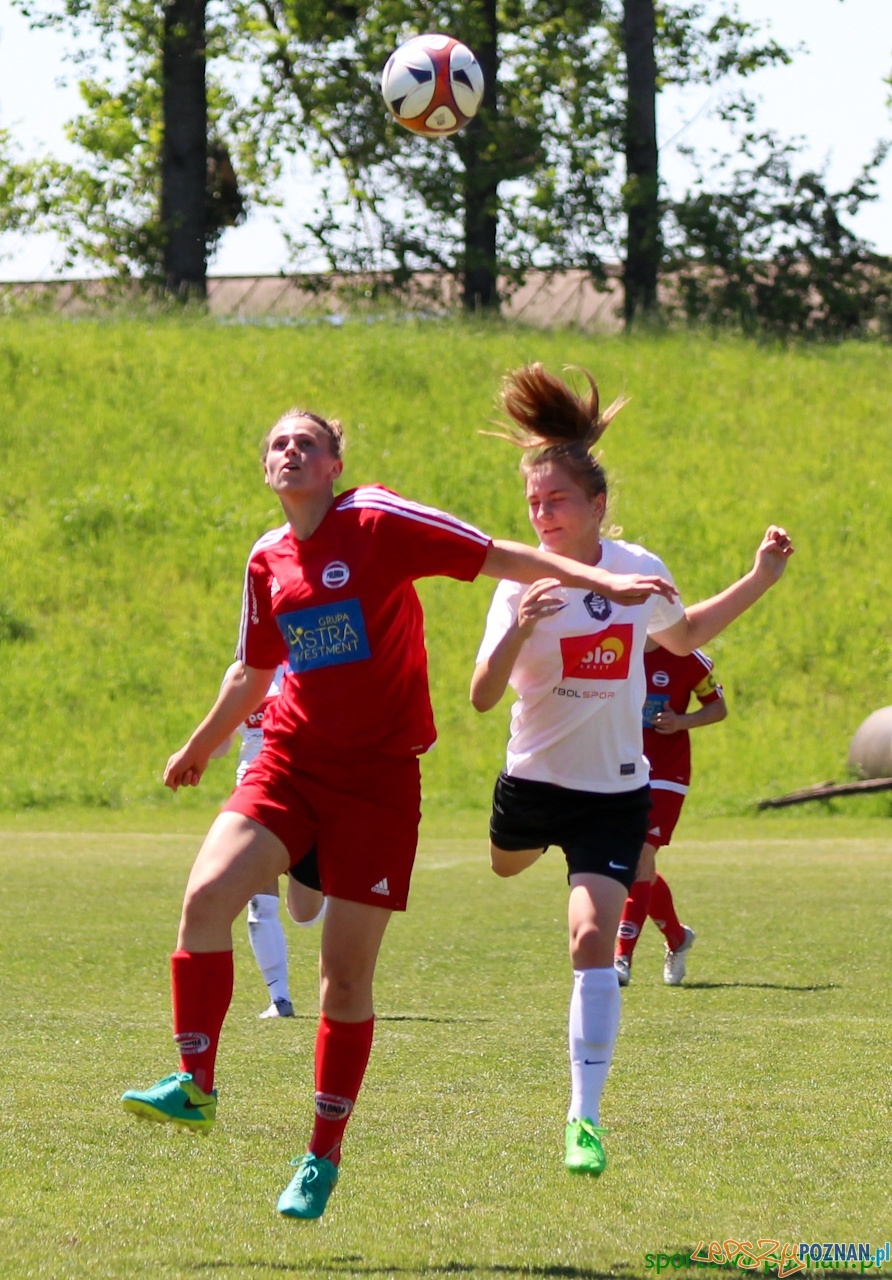Polonia Poznań - Medyk II Konin Foto: sportowy-poznan.pl / Elżbieta Skowron Polonia Poznań - Medyk II Konin Foto: sportowy-poznan.pl / Elżbieta Skowron