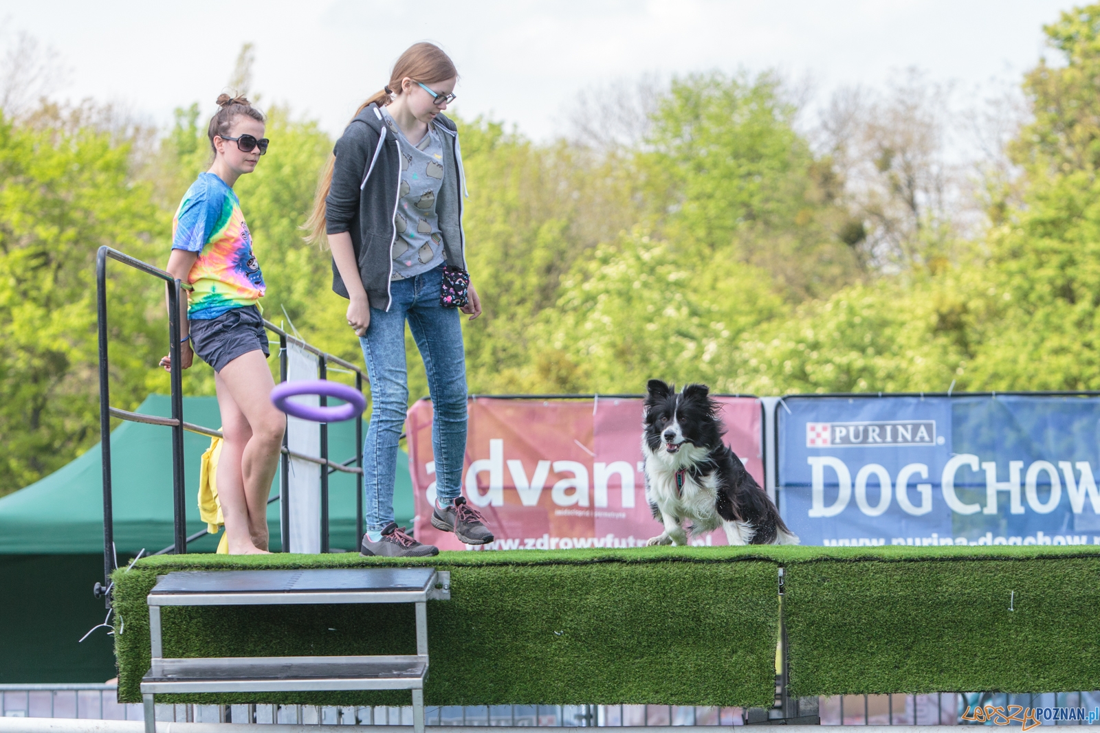 Latające Psy Poznań 2017 - Poznań 13.05.2017 r. Foto: LepszyPOZNAN.pl / Paweł Rychter Latające Psy Poznań 2017 - Poznań 13.05.2017 r. Foto: LepszyPOZNAN.pl / Paweł Rychter