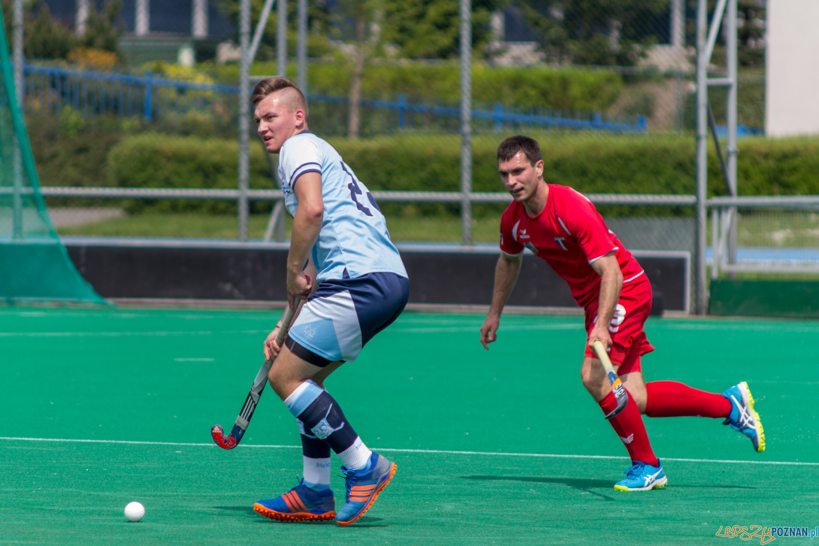 lp-9046 Foto: Ewelina Jaśkowiak lp-9046 Foto: Ewelina Jaśkowiak