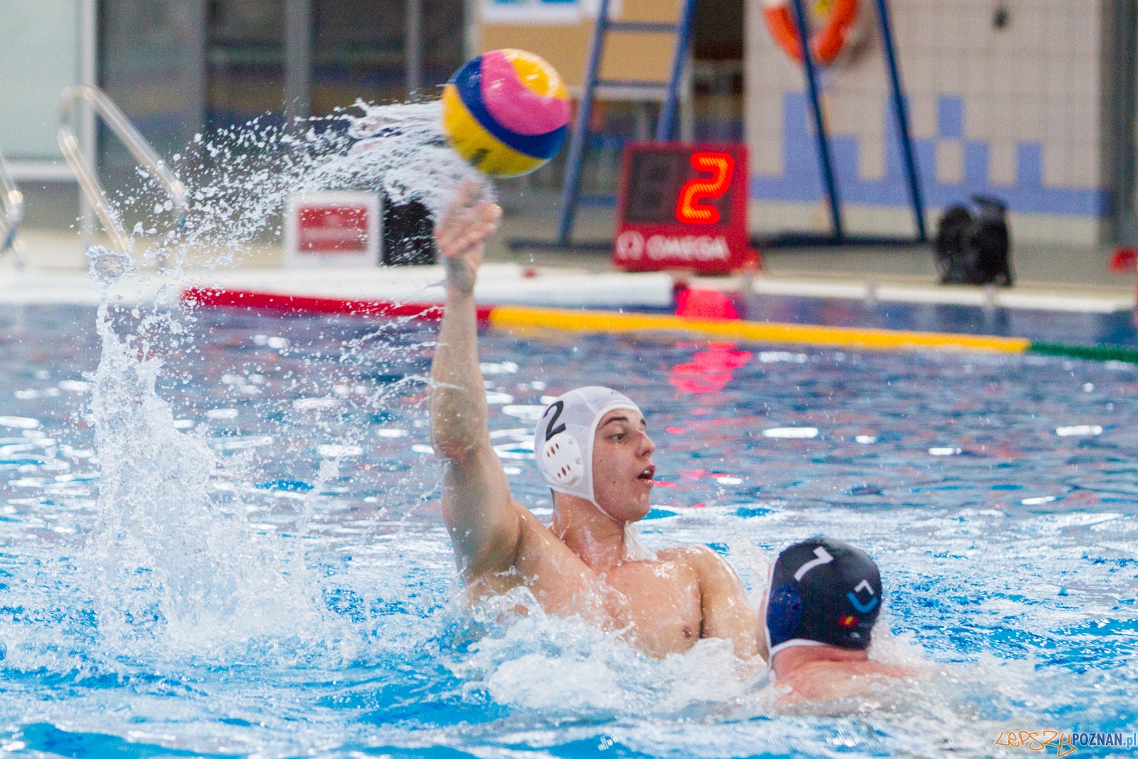 Waterpolo Poznań - ŁSTW UŁ Foto: lepszyPOZNAN.pl / Piotr Rychter Waterpolo Poznań - ŁSTW UŁ Foto: lepszyPOZNAN.pl / Piotr Rychter
