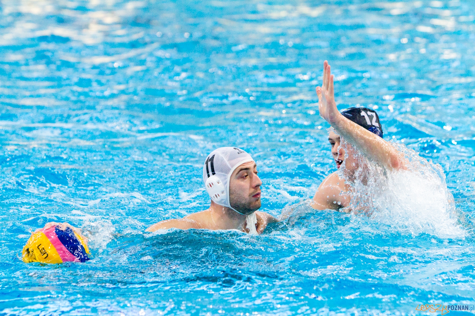 Waterpolo Poznań - ŁSTW UŁ Foto: lepszyPOZNAN.pl / Piotr Rychter Waterpolo Poznań - ŁSTW UŁ Foto: lepszyPOZNAN.pl / Piotr Rychter