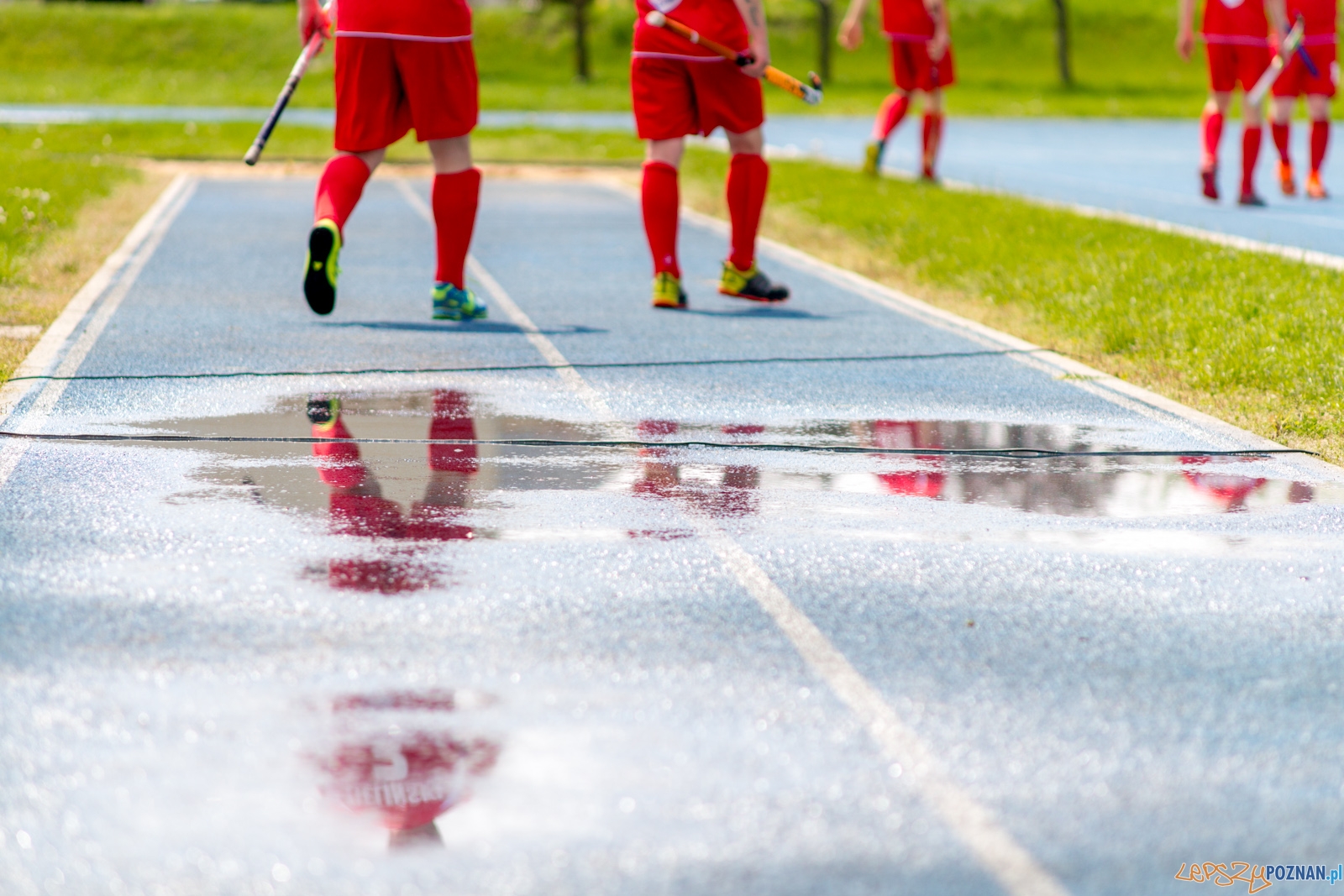 lp-9145 Foto: Ewelina Jaśkowiak lp-9145 Foto: Ewelina Jaśkowiak