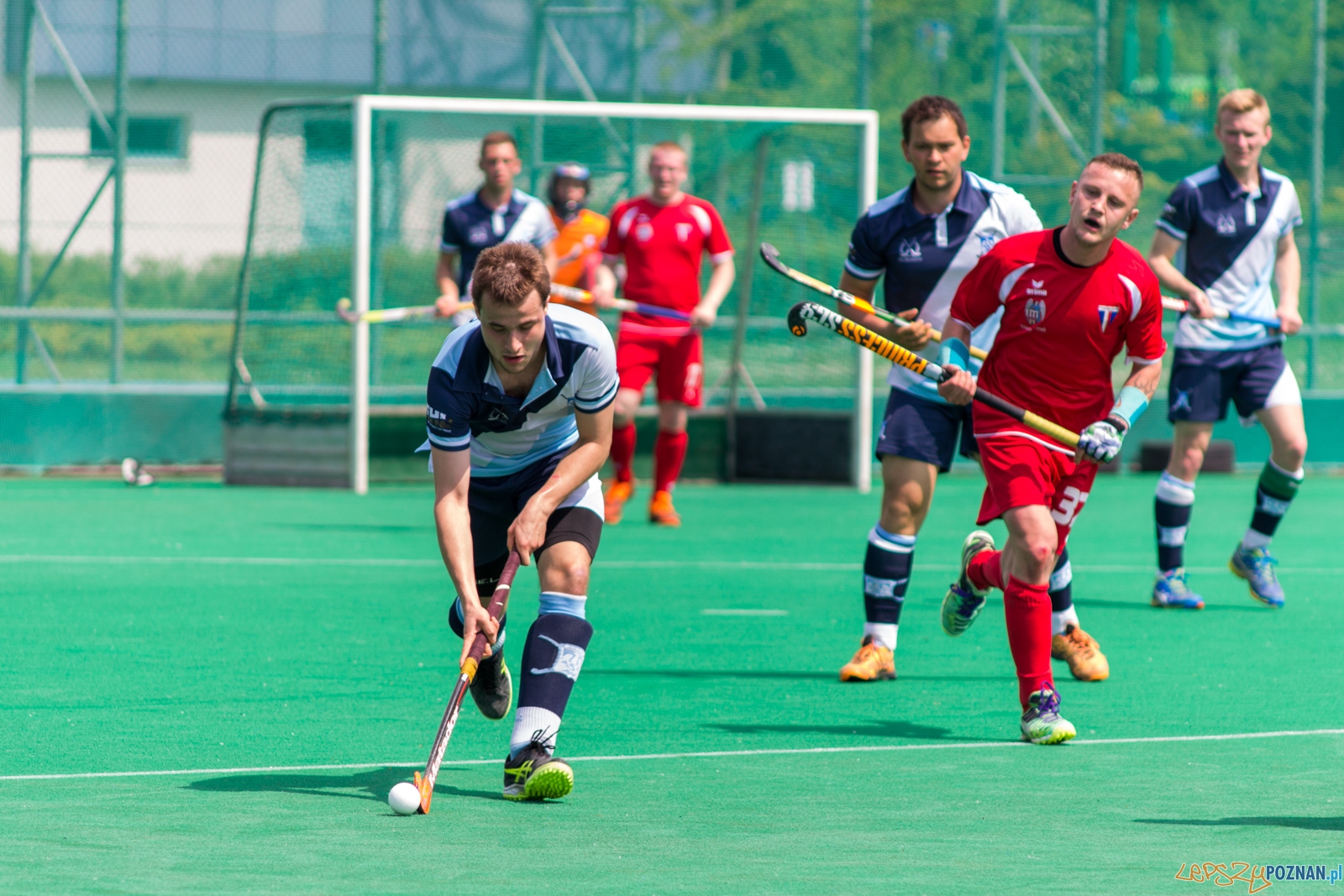 lp-9133 Foto: Ewelina Jaśkowiak lp-9133 Foto: Ewelina Jaśkowiak